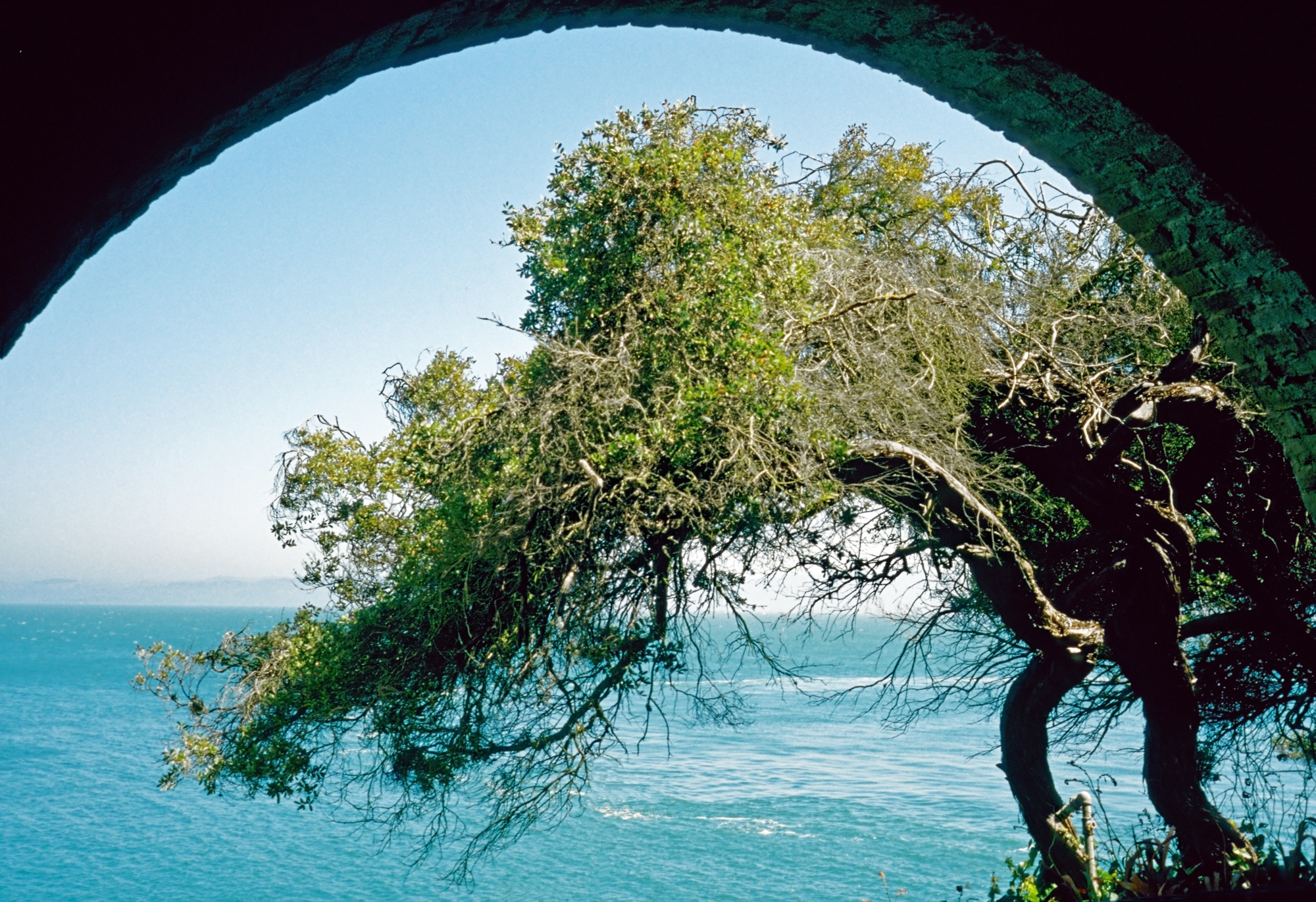 alcatraz archway2_DxOb2k.jpg