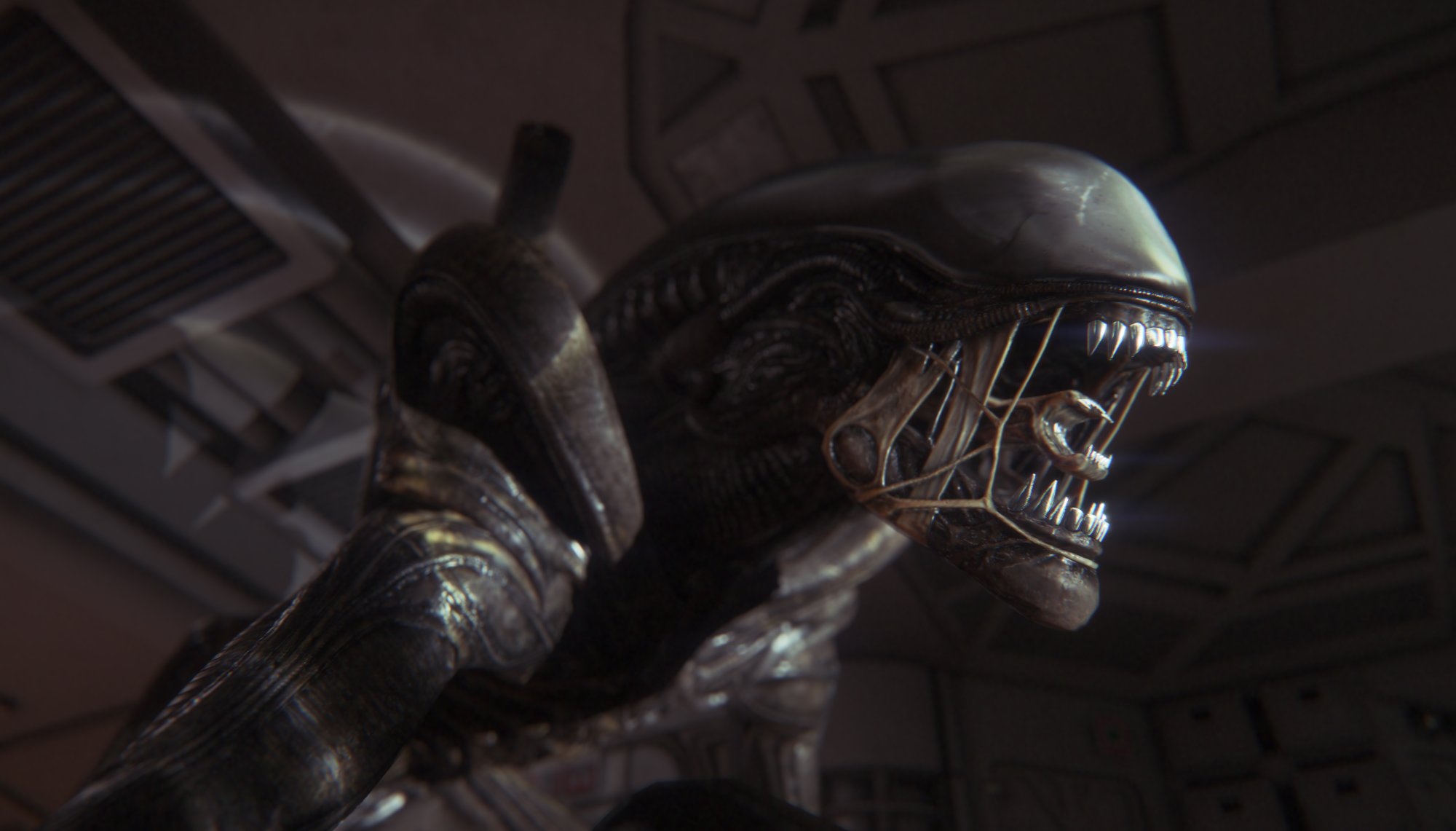 ALIEN #1.jpg