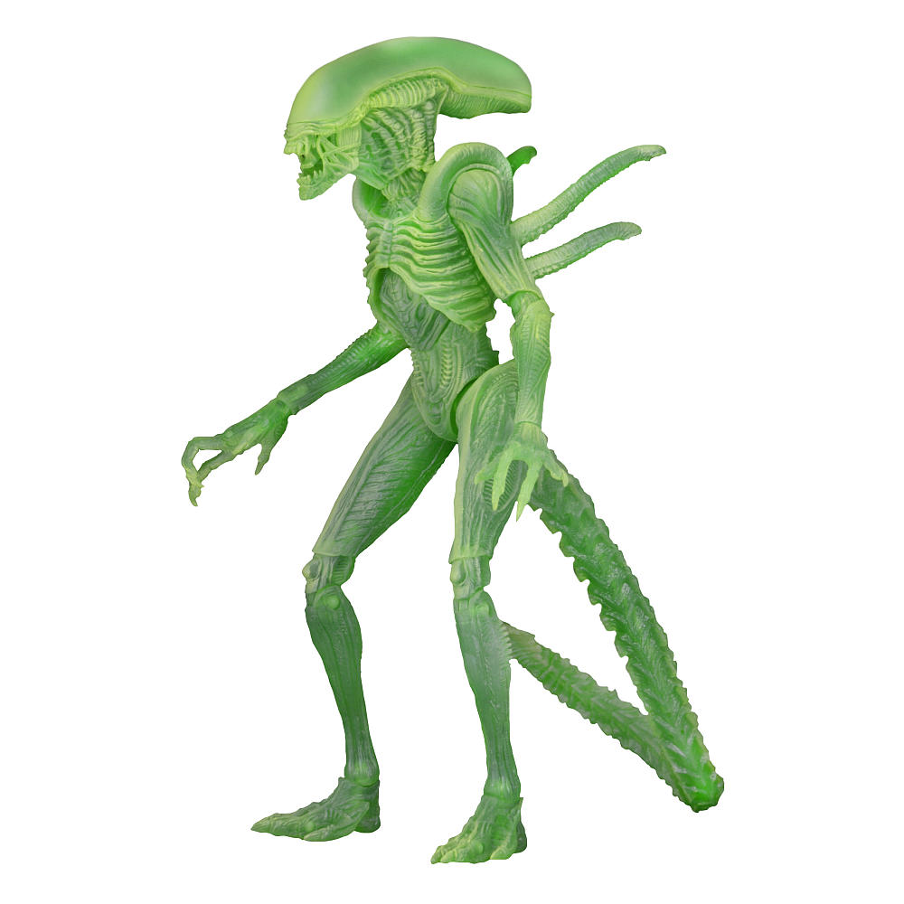 alien glow.jpg