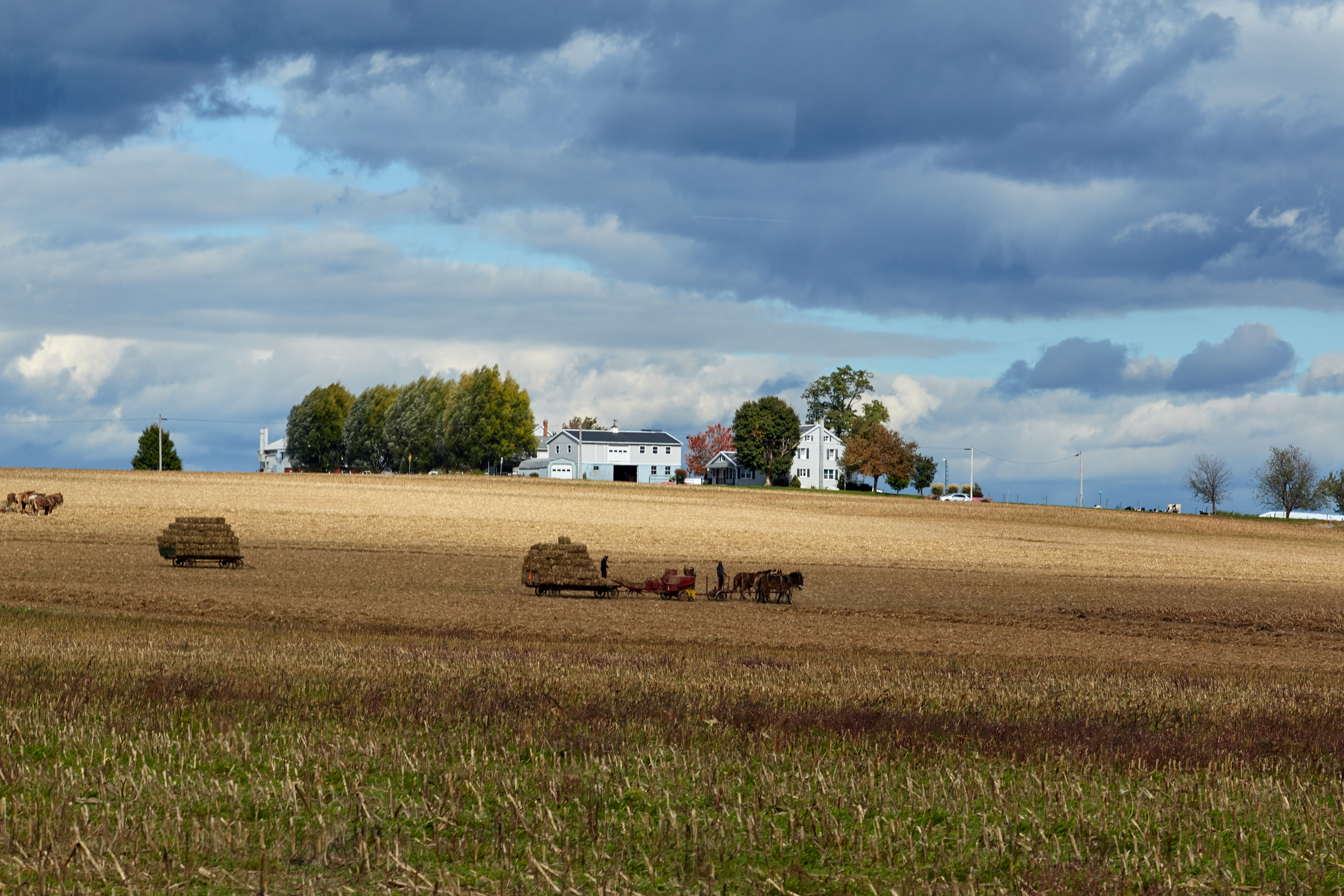 Amish.jpg