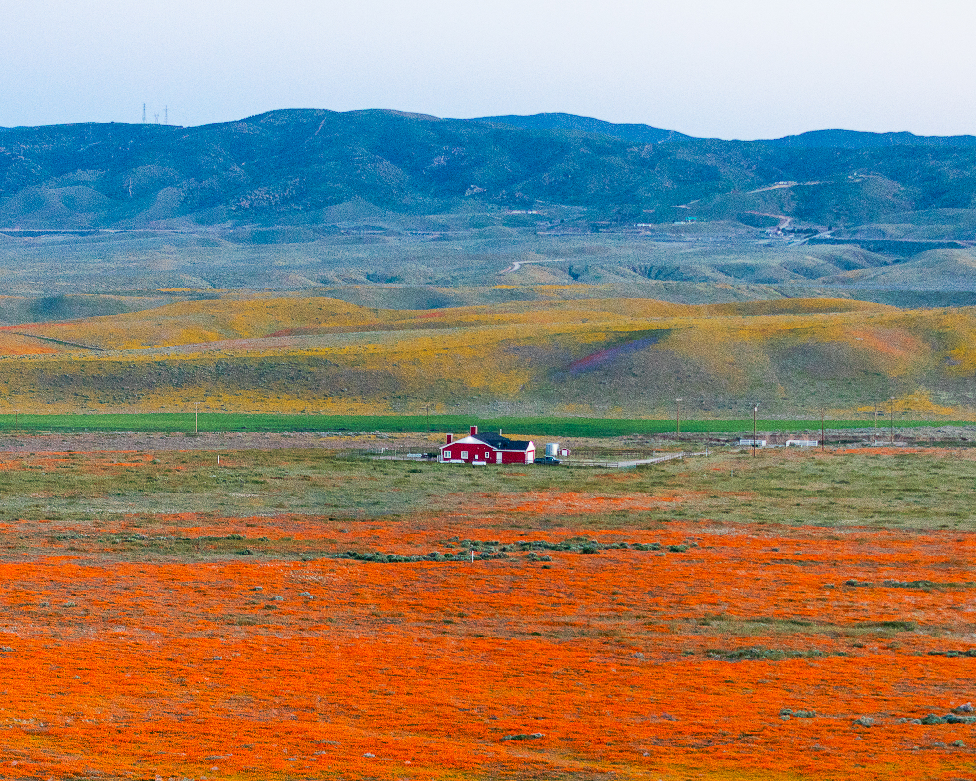 Antelope Valley-1-13.jpg