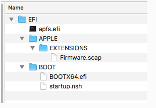 APFS EFI files to remove.png