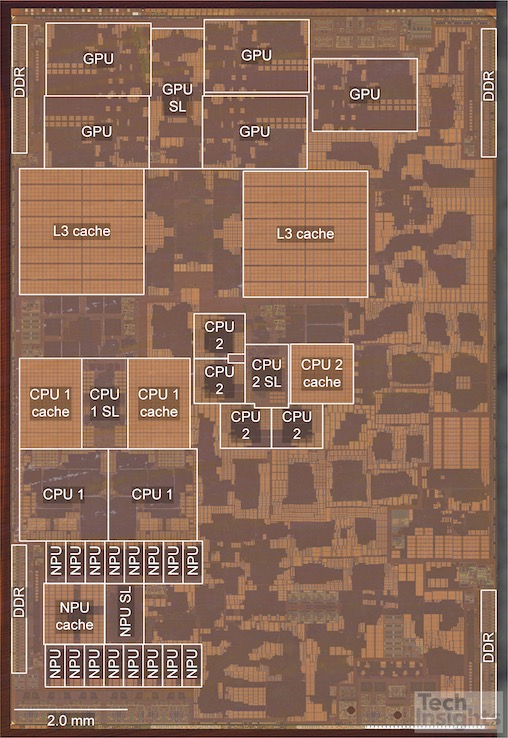 APL1W07_TMMU71_BPoly_floorplan_TechInsights.jpg