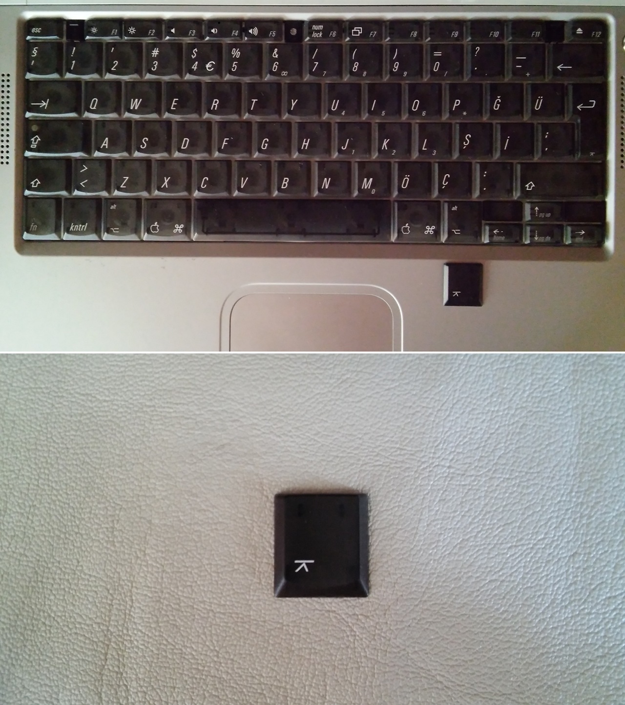 Apple-right-option-key.jpg