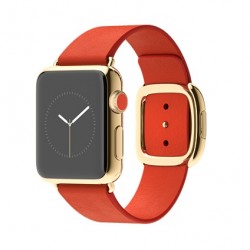 Apple-Watch-Edition-Red-250x250.jpeg