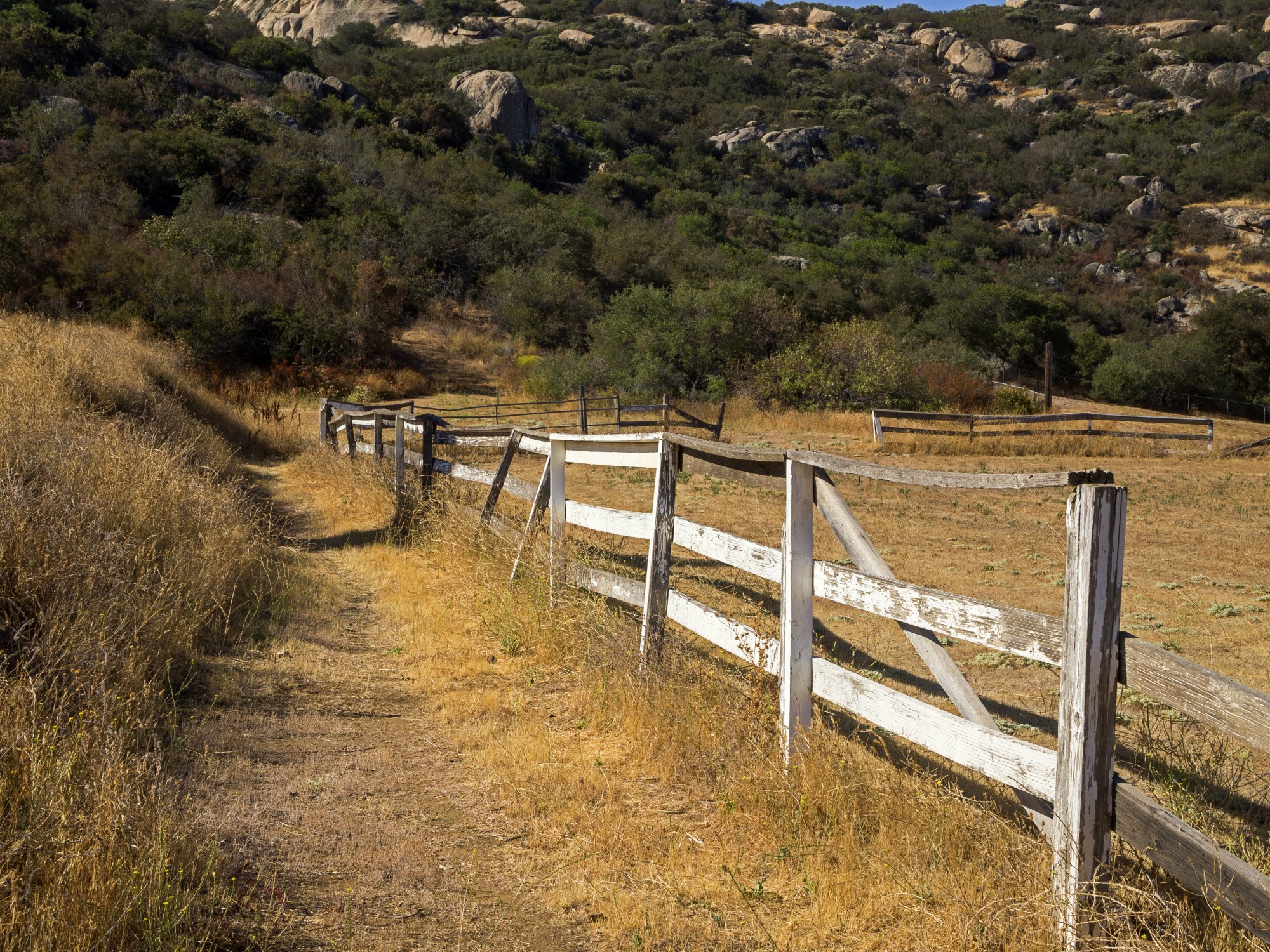 arena fence 1070 rw 8.29.22 x.jpg