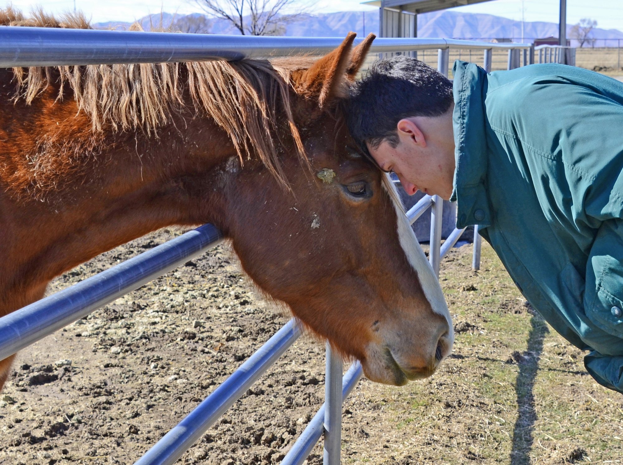 Ari and horse 01 crop resize.jpg