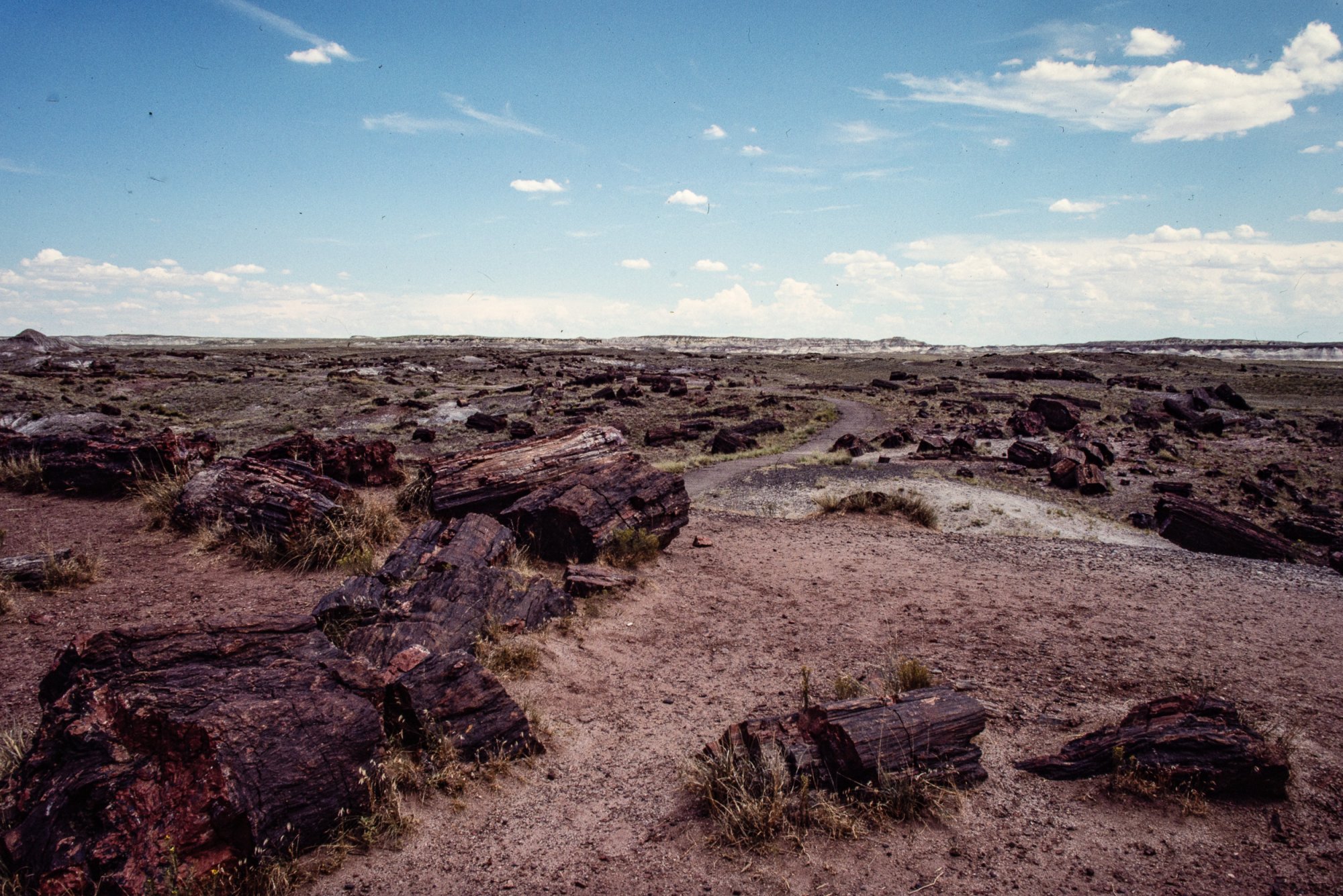 Arizona 1988 - 2500px-78.JPG