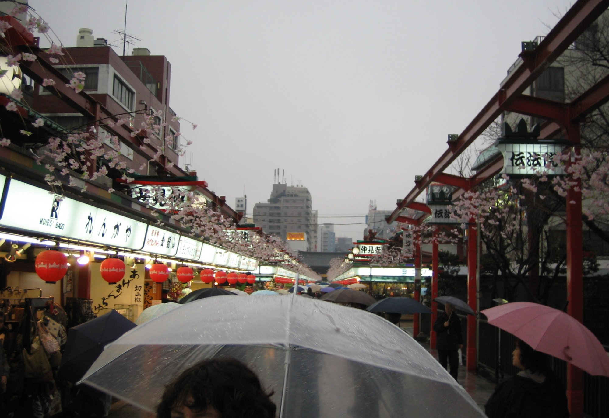 asakusa.jpeg