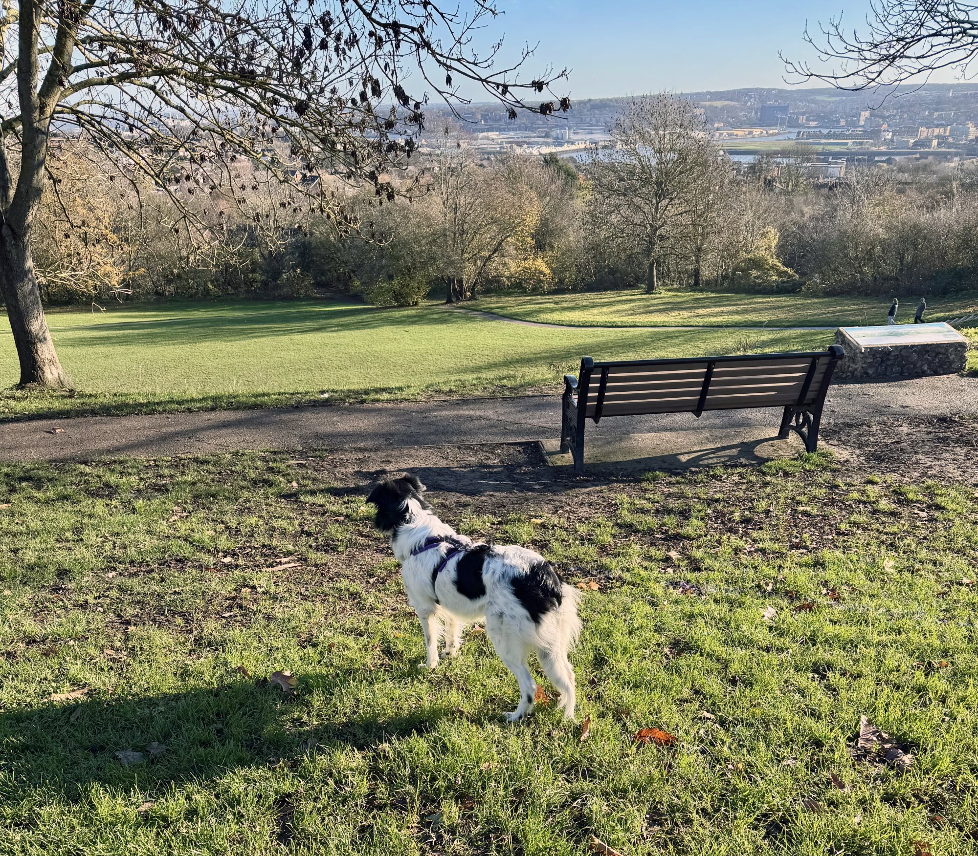 At Broomhill Park.jpg