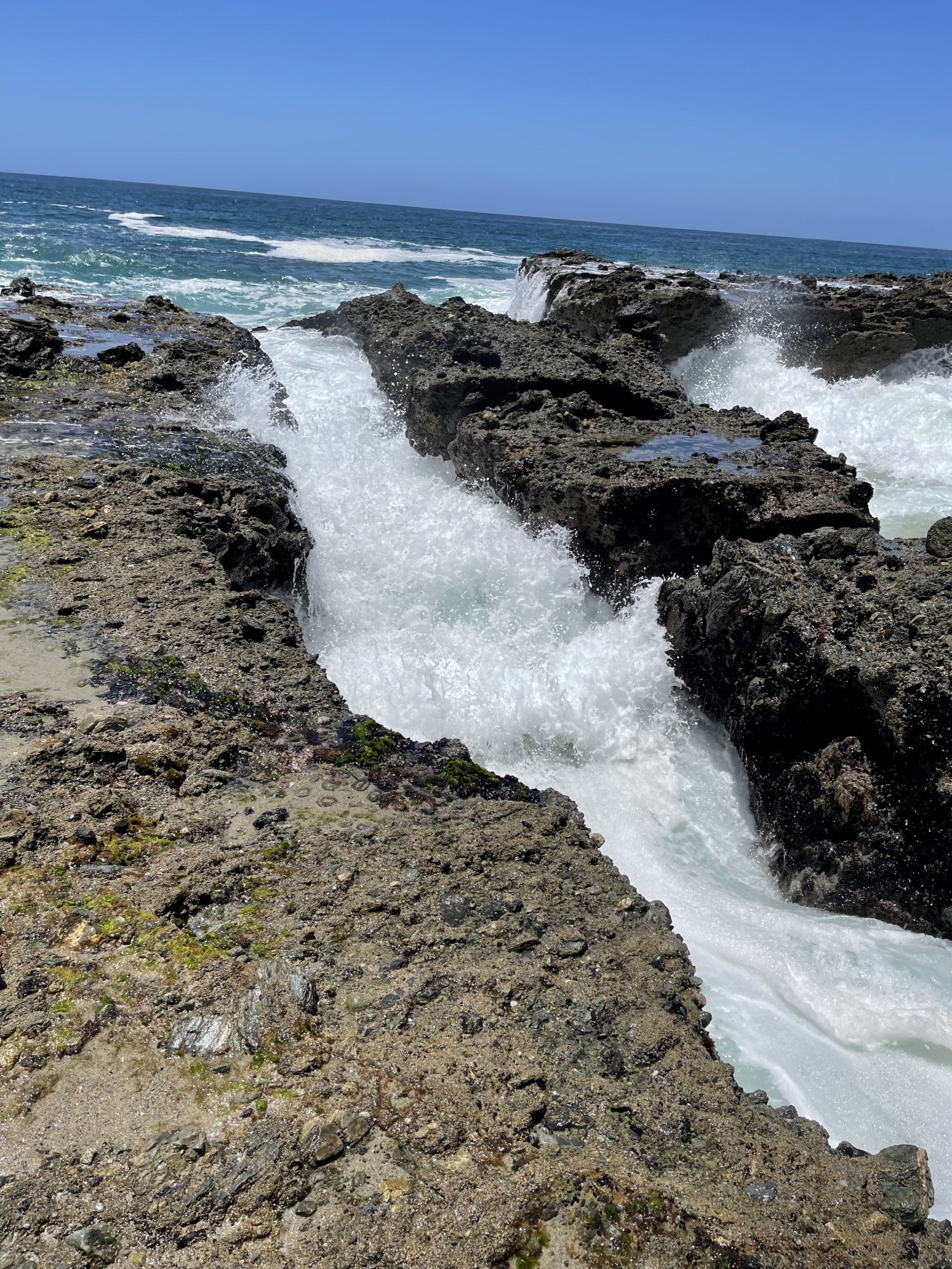 B136512E-7530-4657-A1D7-6910460C4D66.jpeg
