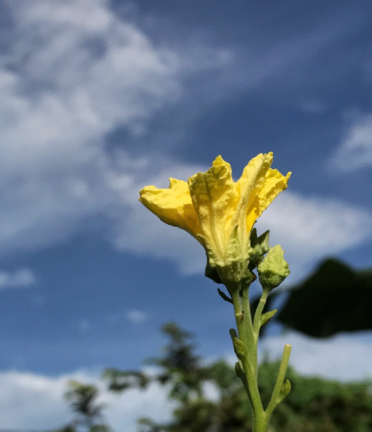 B2EAA356-B355-406C-8F72-27AE558F7C47.jpeg