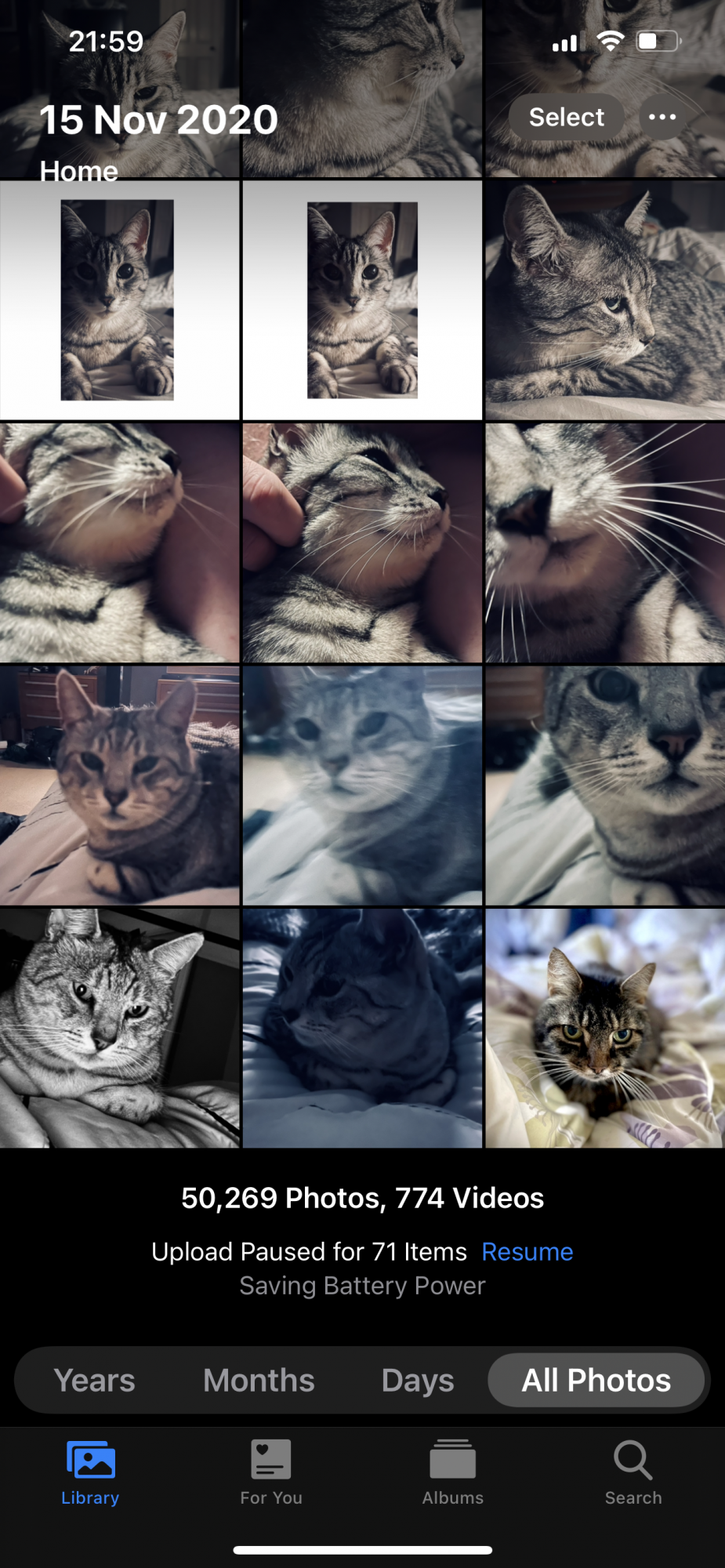 BA3584A6-66C9-4F13-B7B7-FDA02174290E.png