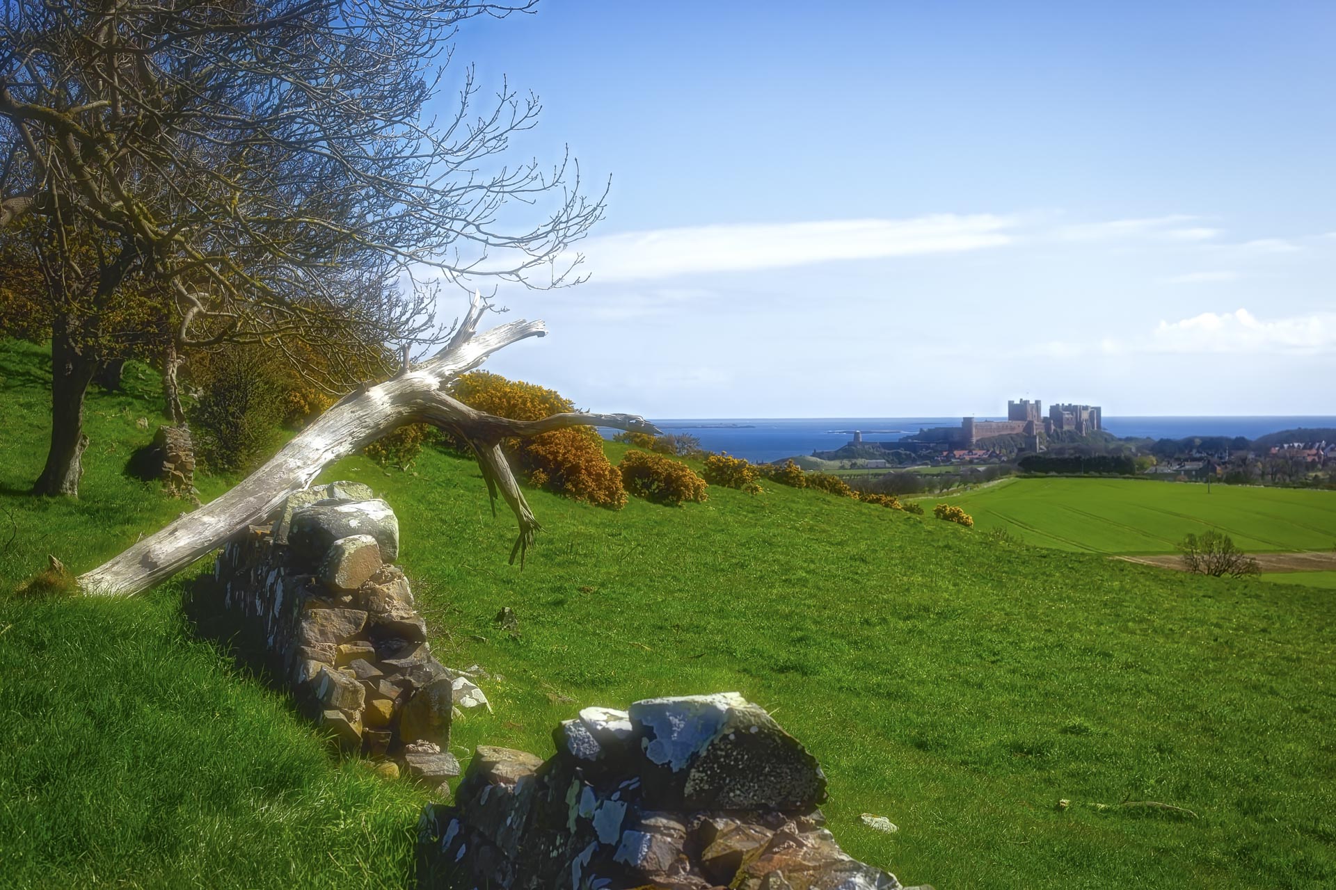 Bamburgh from adistance-1.jpg