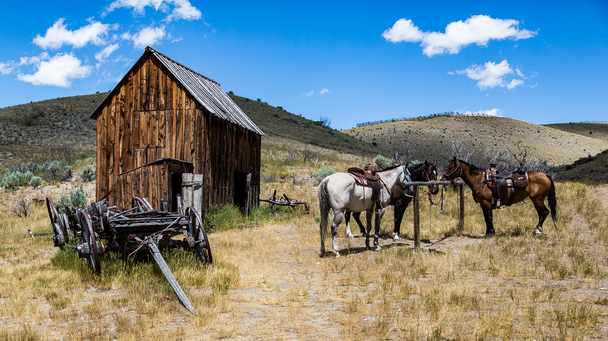 Bannack_086_2016_07_16_0453.jpg