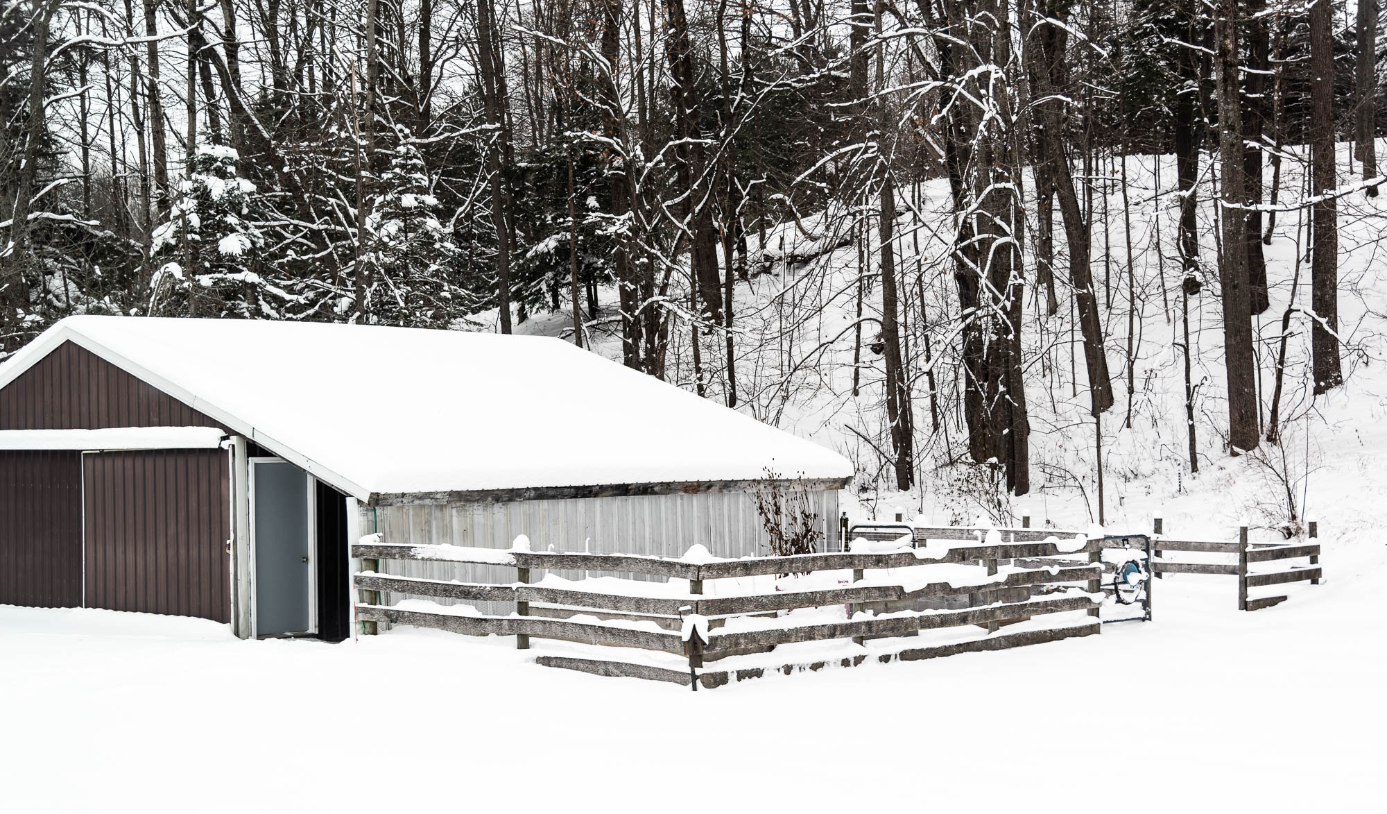 Barn and Garden snow 12-8-2021.jpg