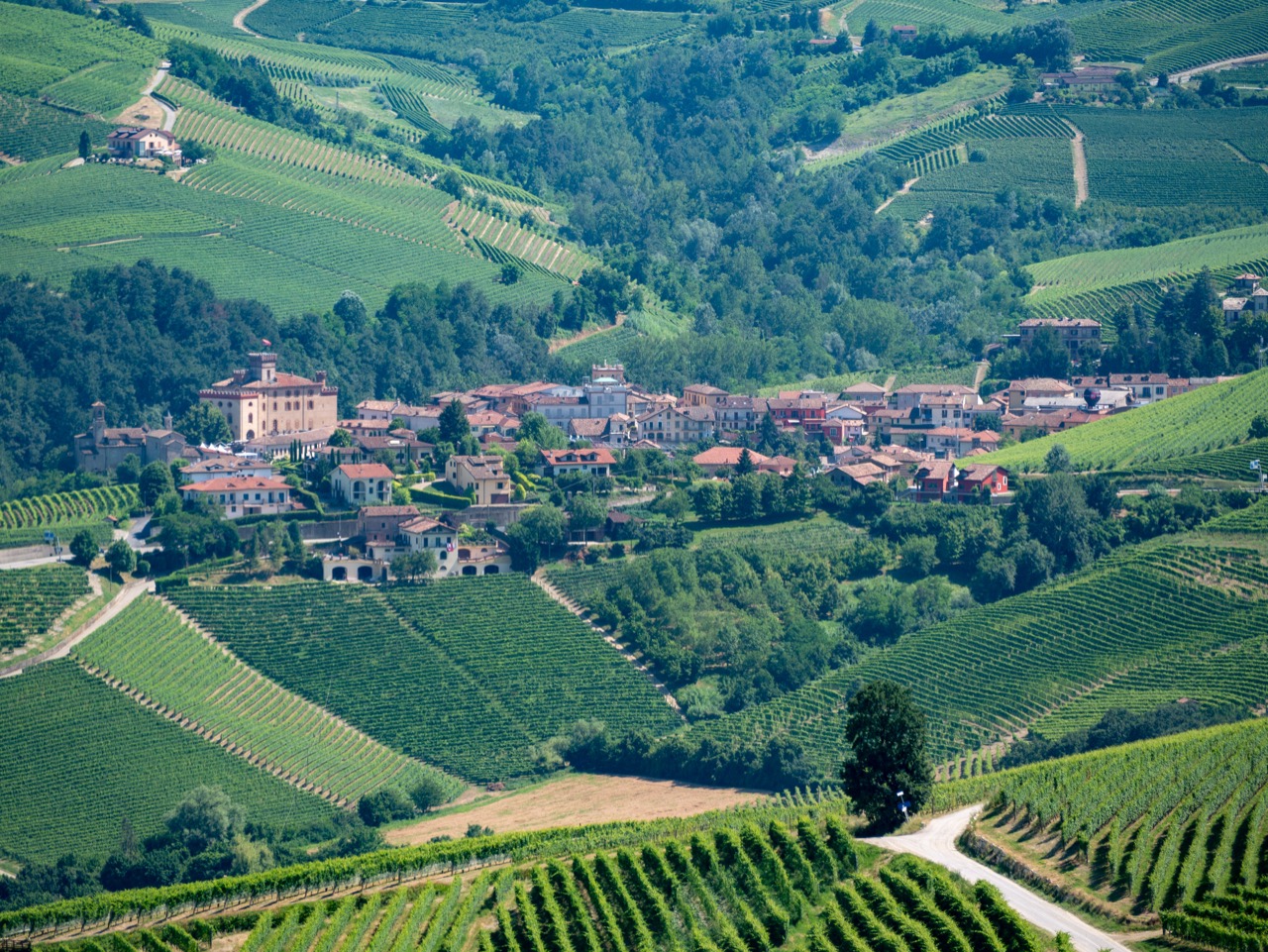 Barolo.jpg