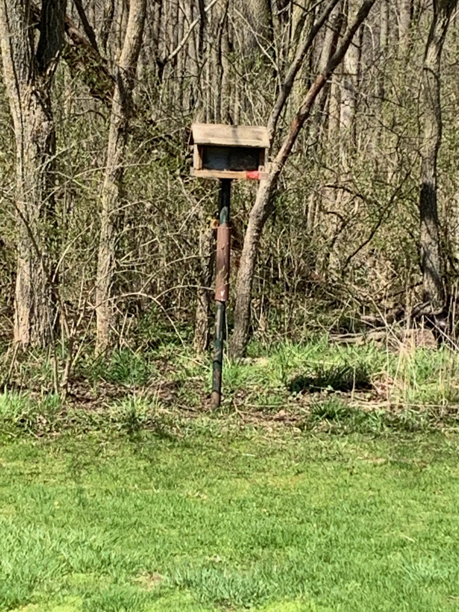 Battelle Darby Creek - Bird feeder.jpeg