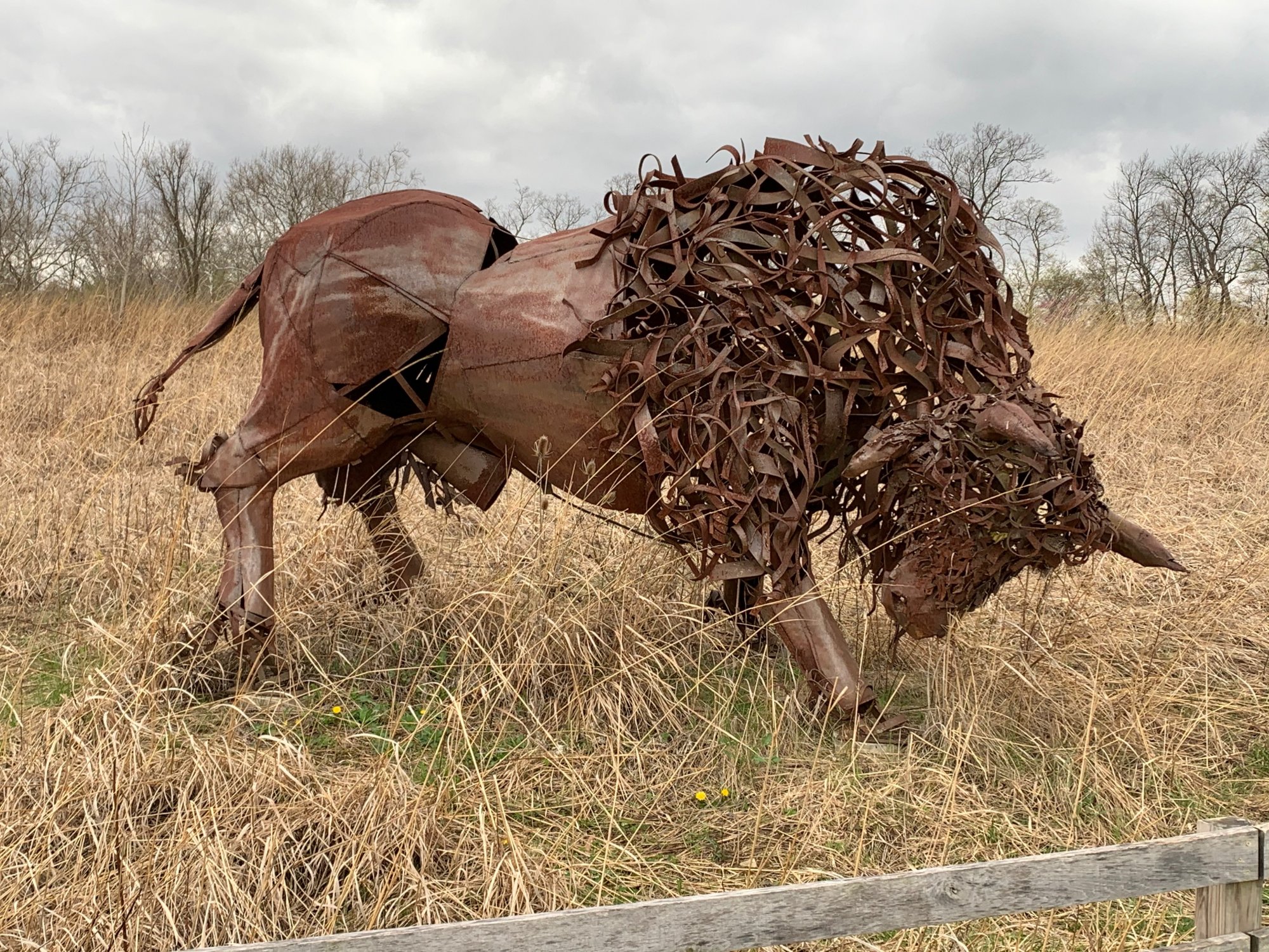 Battelle Darby Creek - Bison statue.jpeg