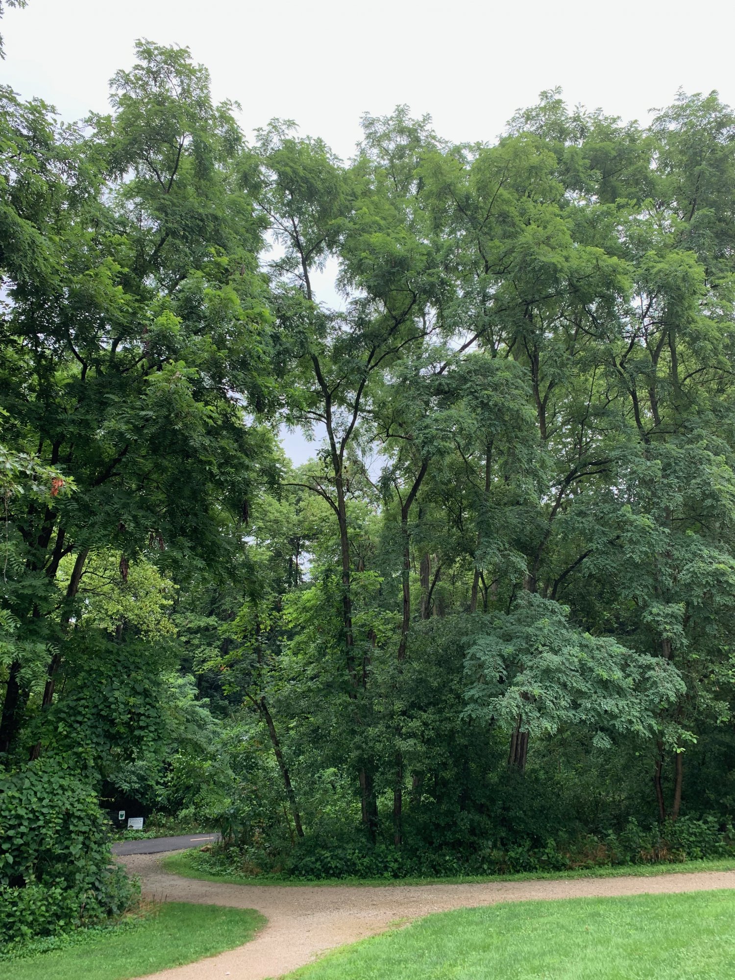 Battelle Darby Creek - Camp Chase Trail - Start of paved trail.jpeg