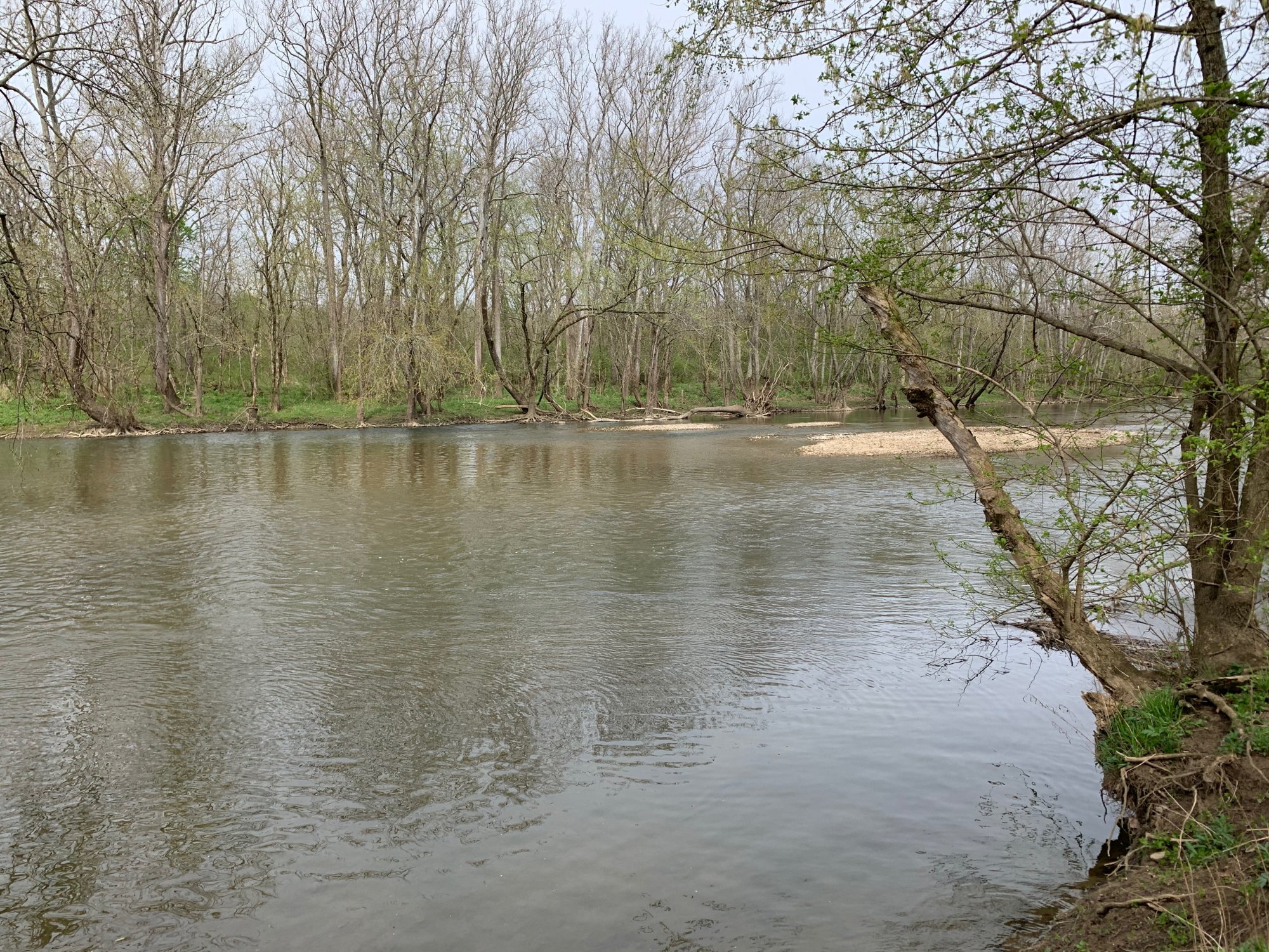 Battelle Darby Creek - Darby Creek 1.jpeg