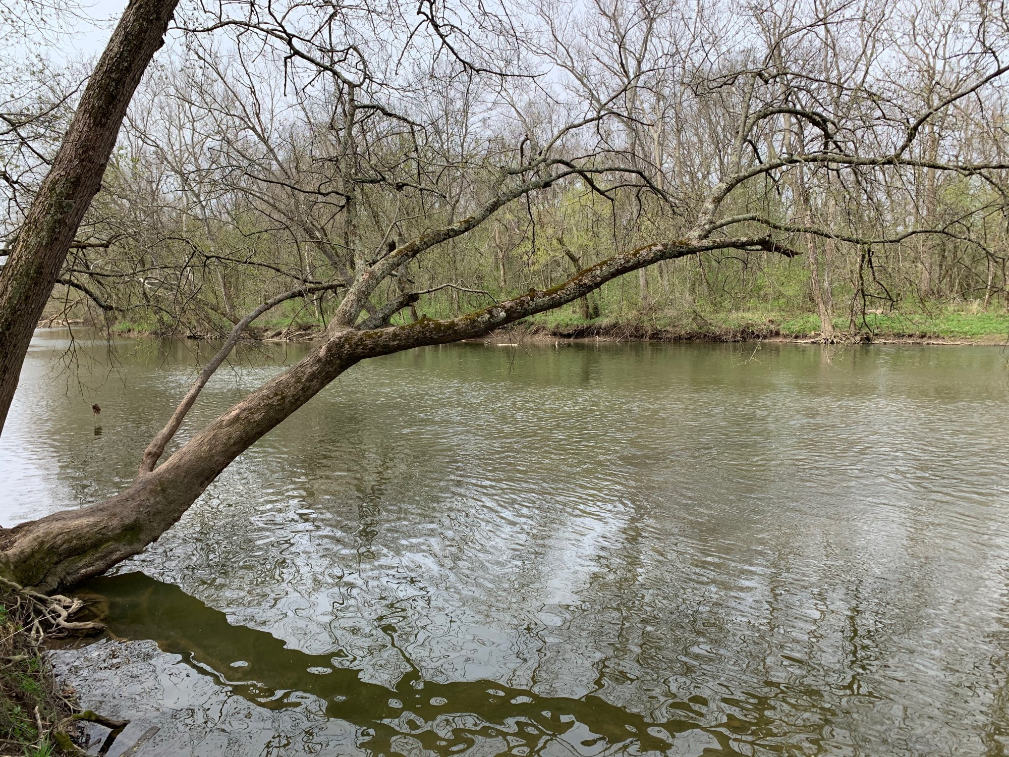 Battelle Darby Creek - Darby Creek 3.jpeg