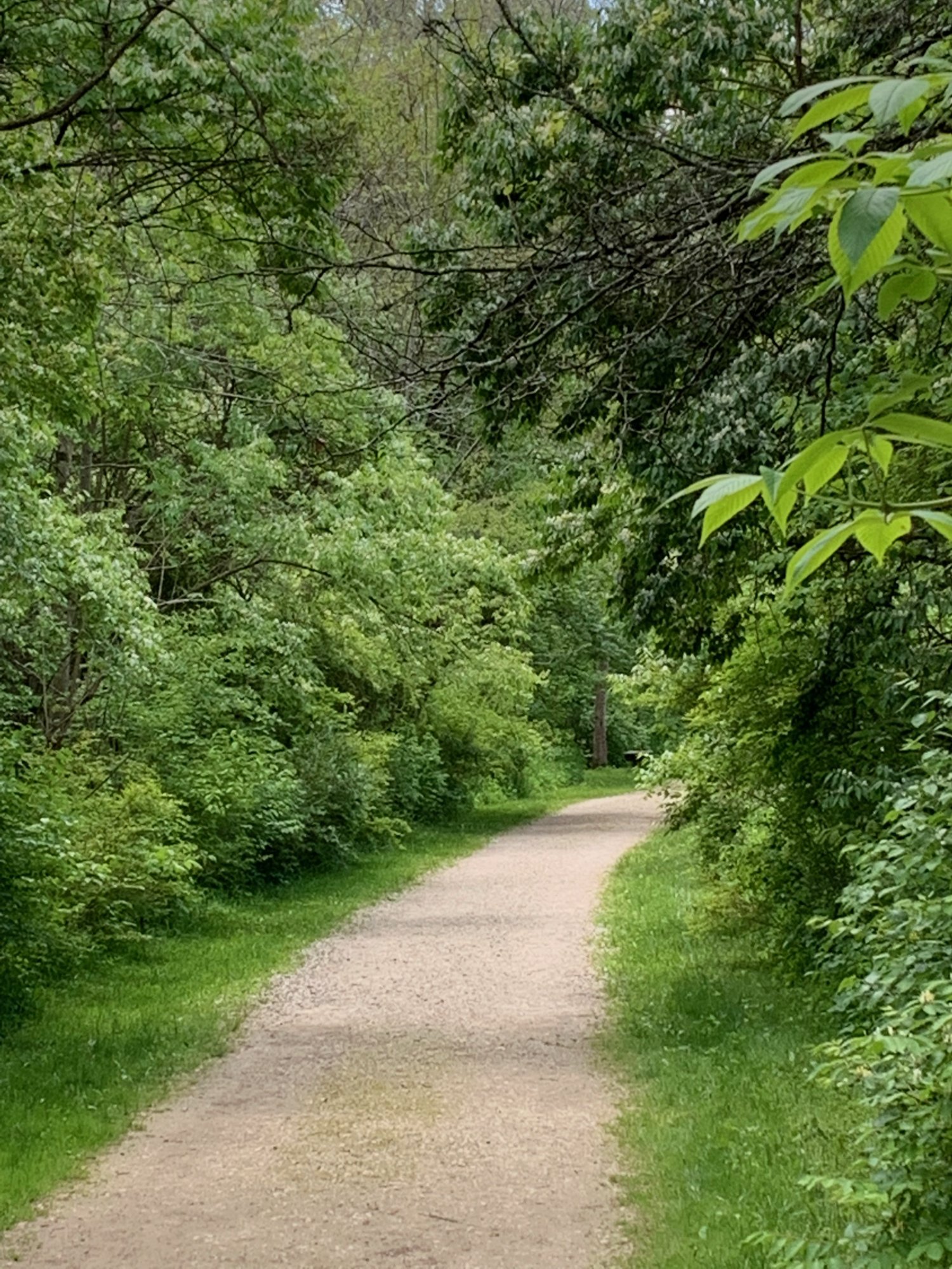 Battelle Darby Creek - Terrace Trail near creek.jpeg