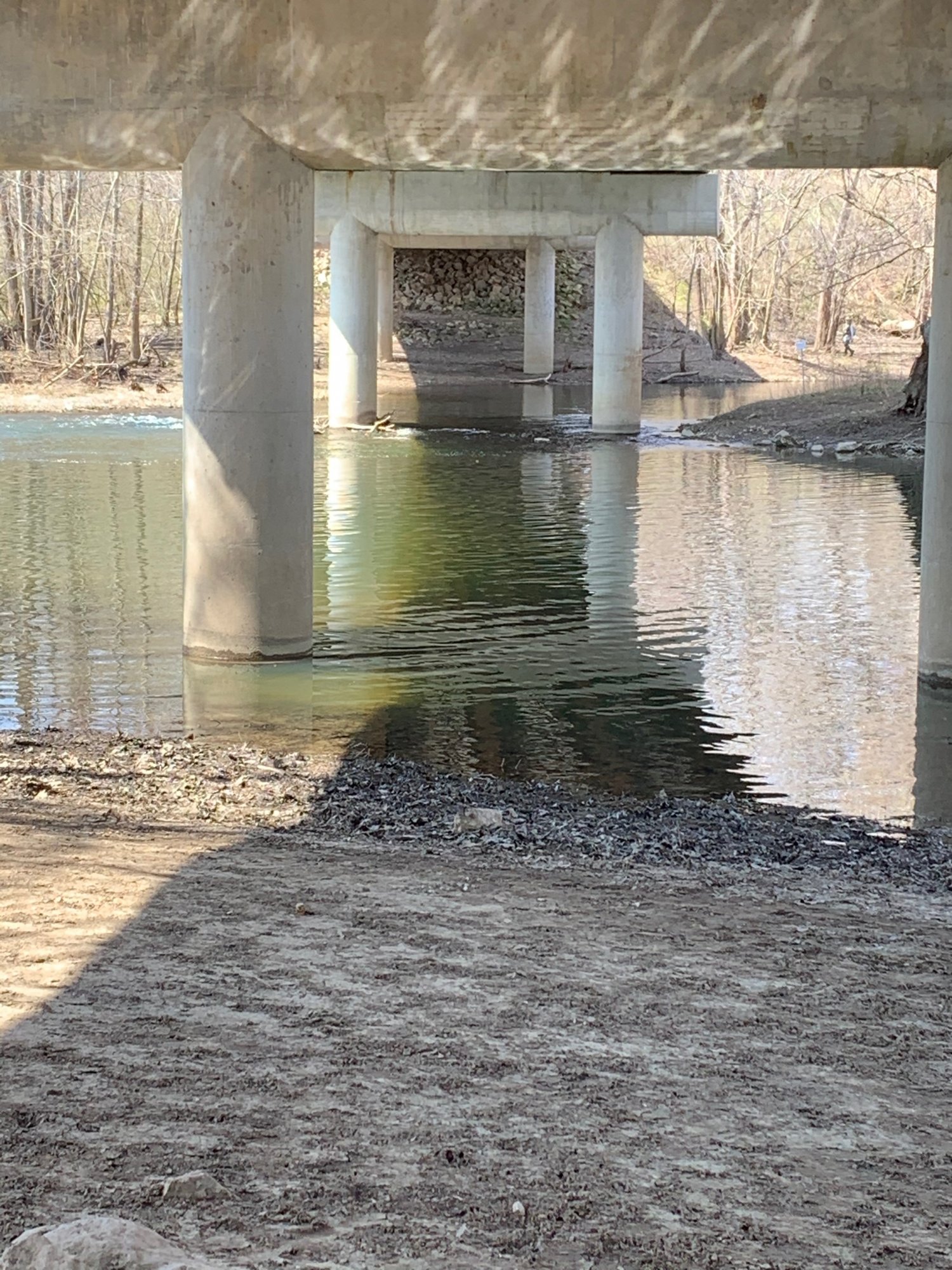 Battelle Darby Creek - Water reflecting off  bridge tressle.jpeg