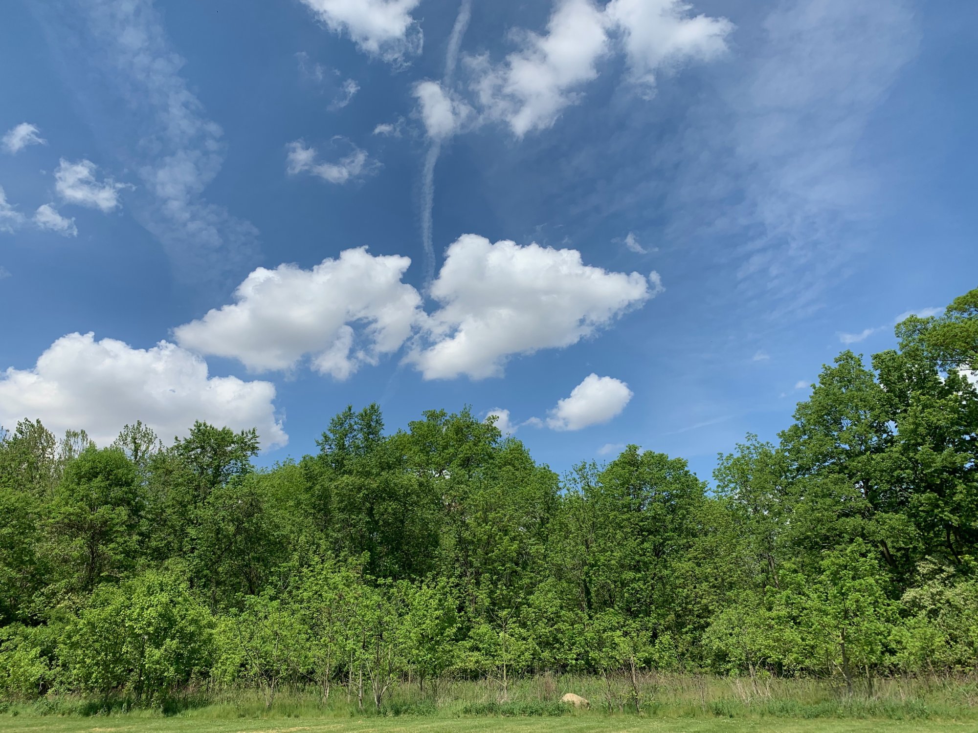 Battle Darby Creek - Clouds seen over trees in field 1.jpeg