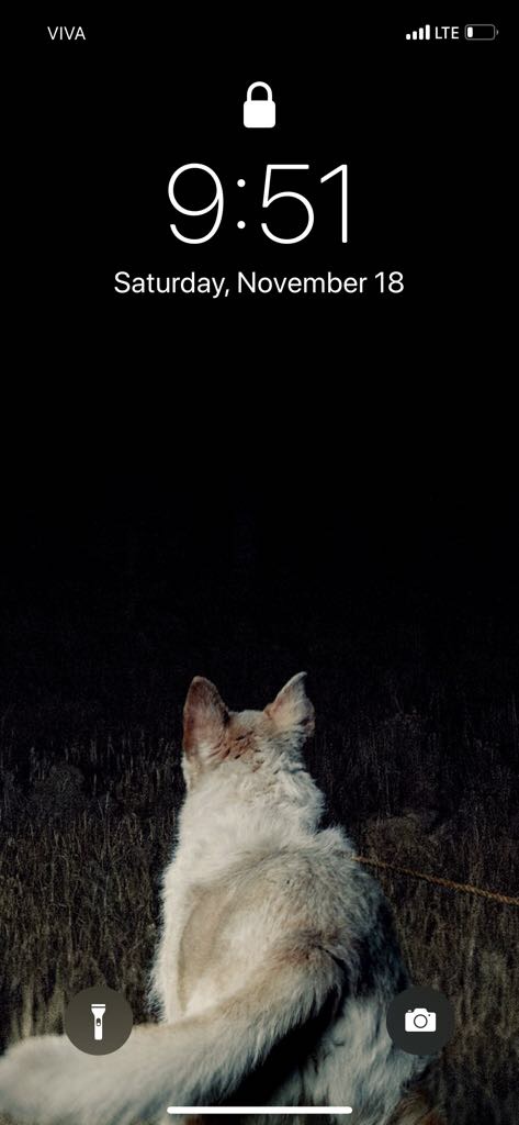 BB489409-A8F0-425C-98DD-FC5E38683504.jpeg