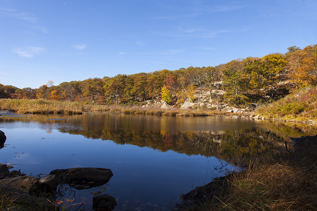 beaverdampond21024.jpg