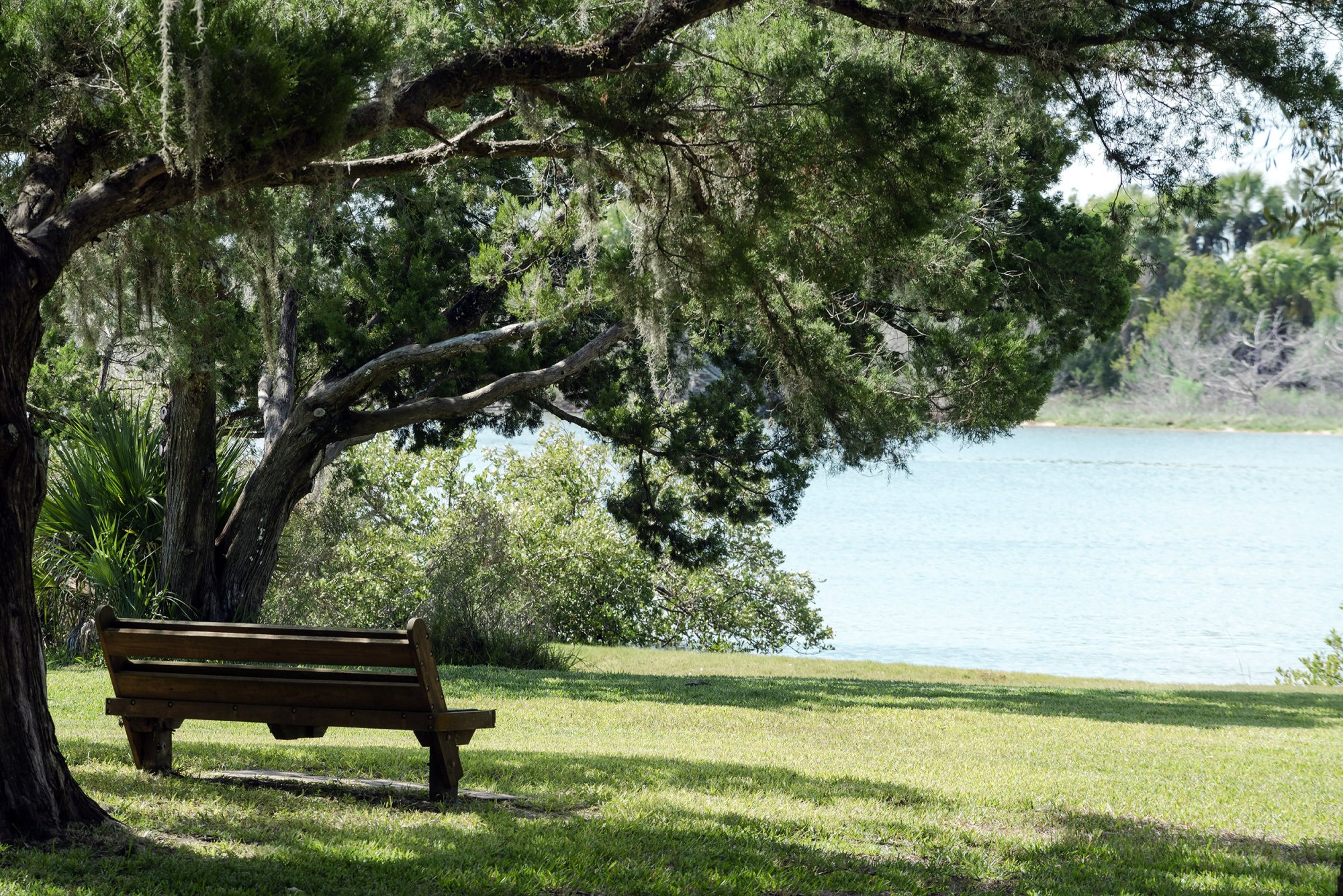 Bench2-2500px.jpg