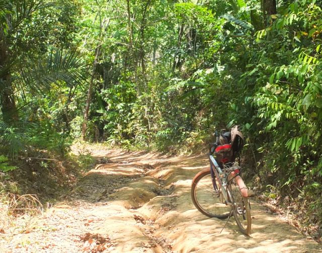 Bicycle @ Koh Yao-2.jpg