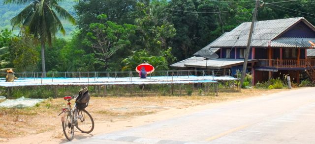 Bicycle @ Koh Yao.jpg