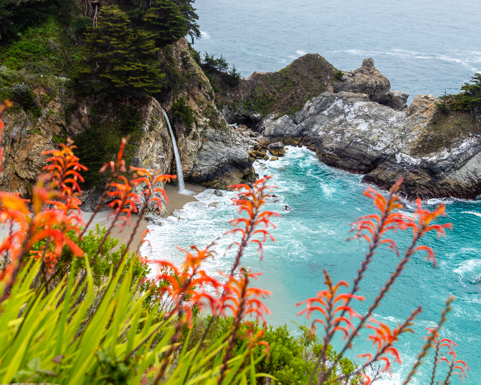 Big Sur-1-2.jpg