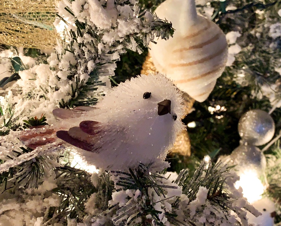 Birdie on the Christmas Tree.jpg