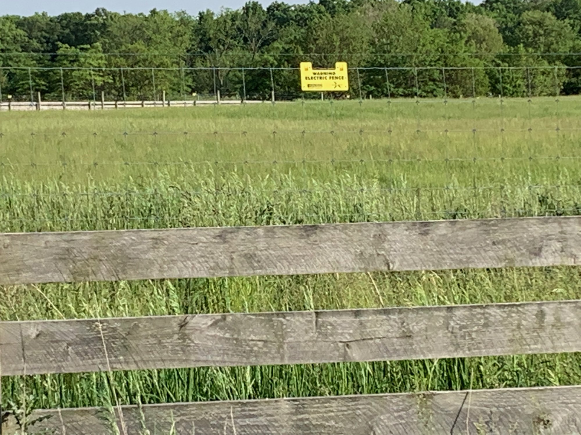 Bison warning sign at Battelle Darby Creek.jpeg