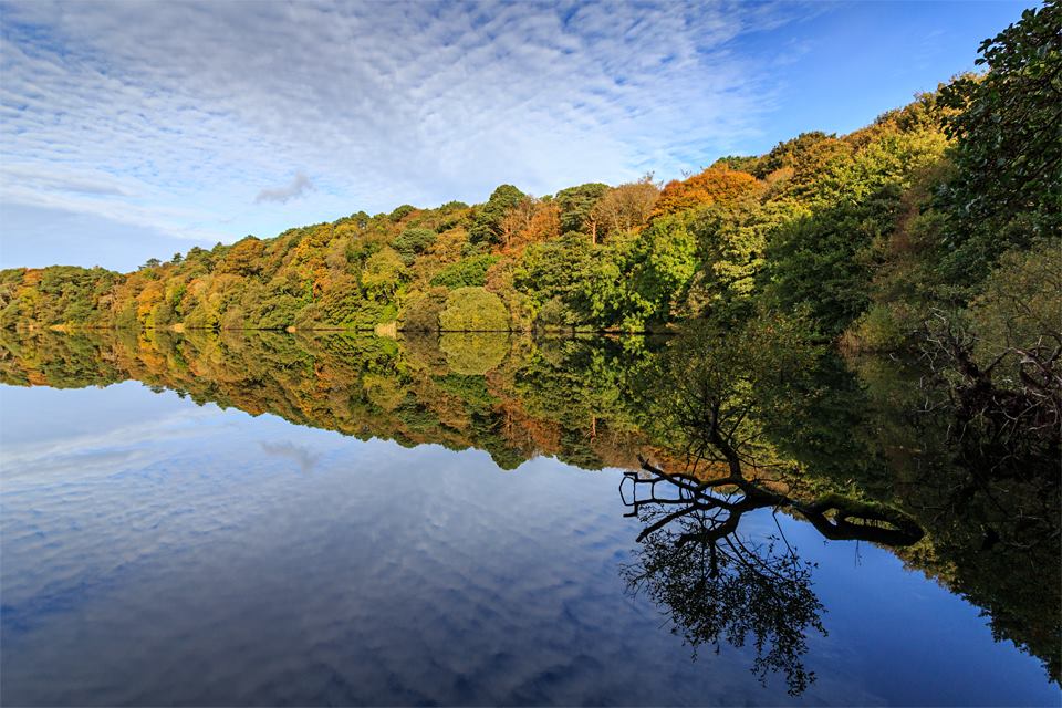 Black Loch Reflection.jpg