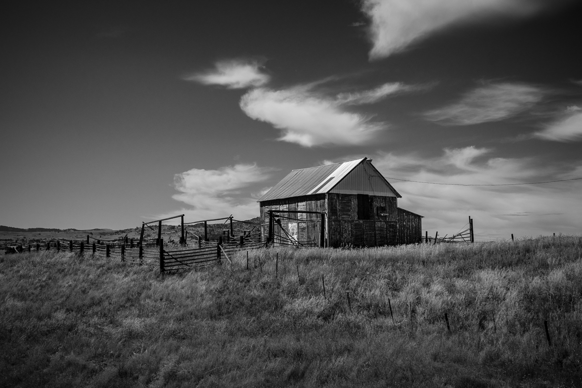 Blacktail Barn_097_2023_08_31_0514.jpg