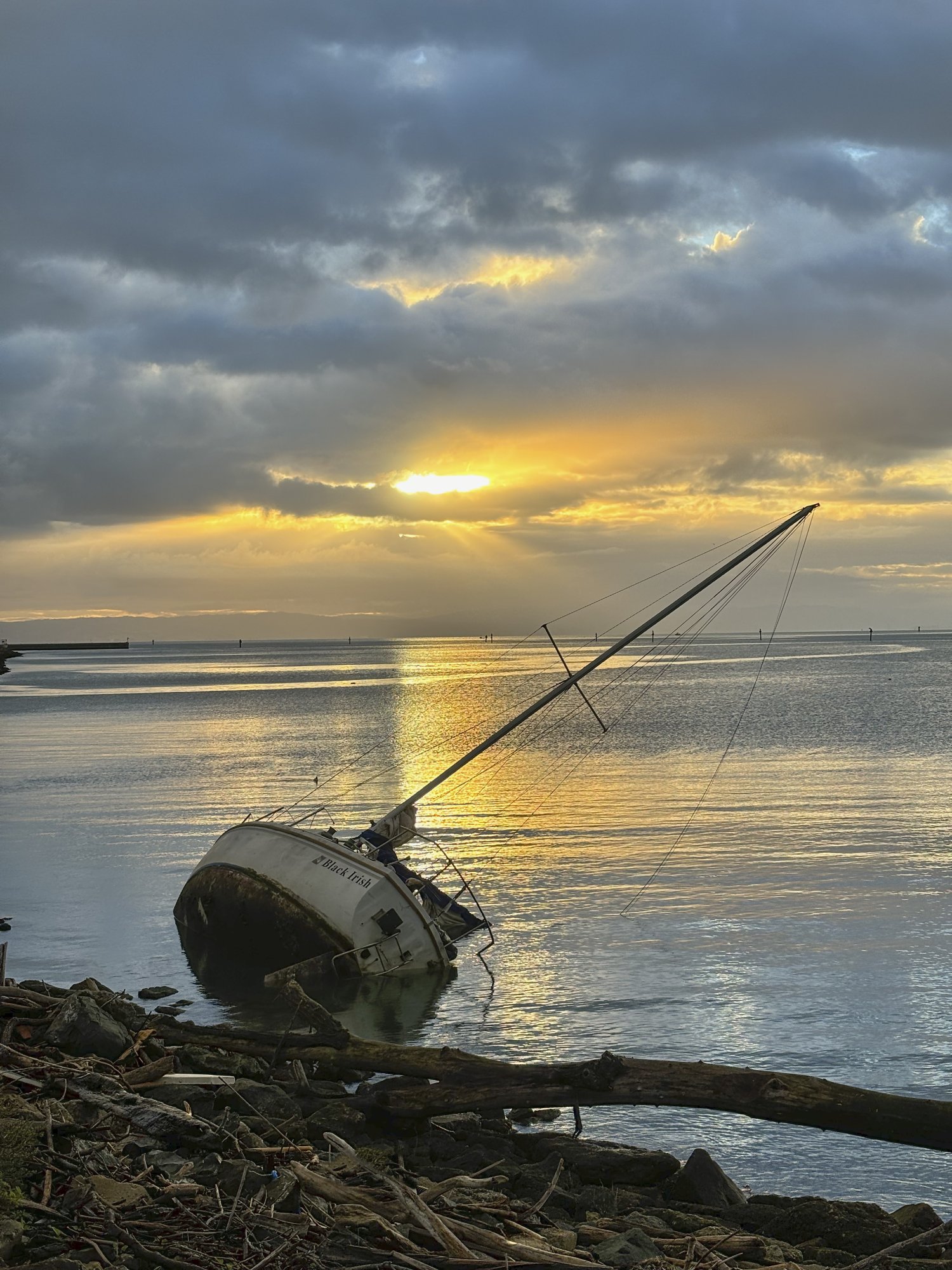 Boat-2024-3-3.jpg