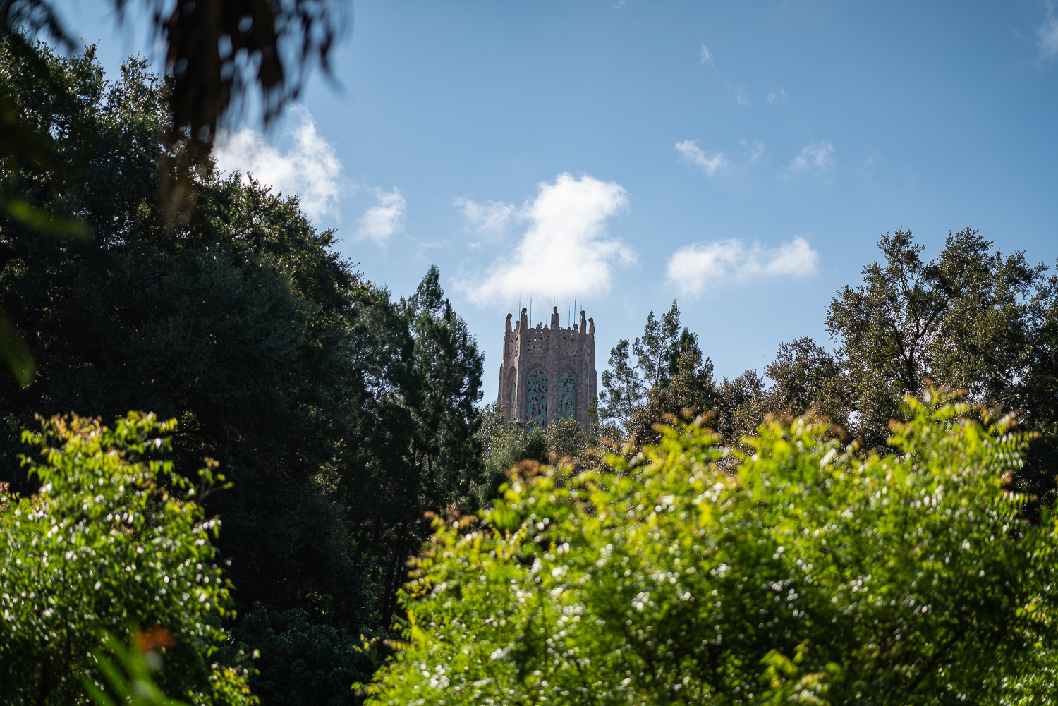 Bok Tower Oct 2020-13.JPG