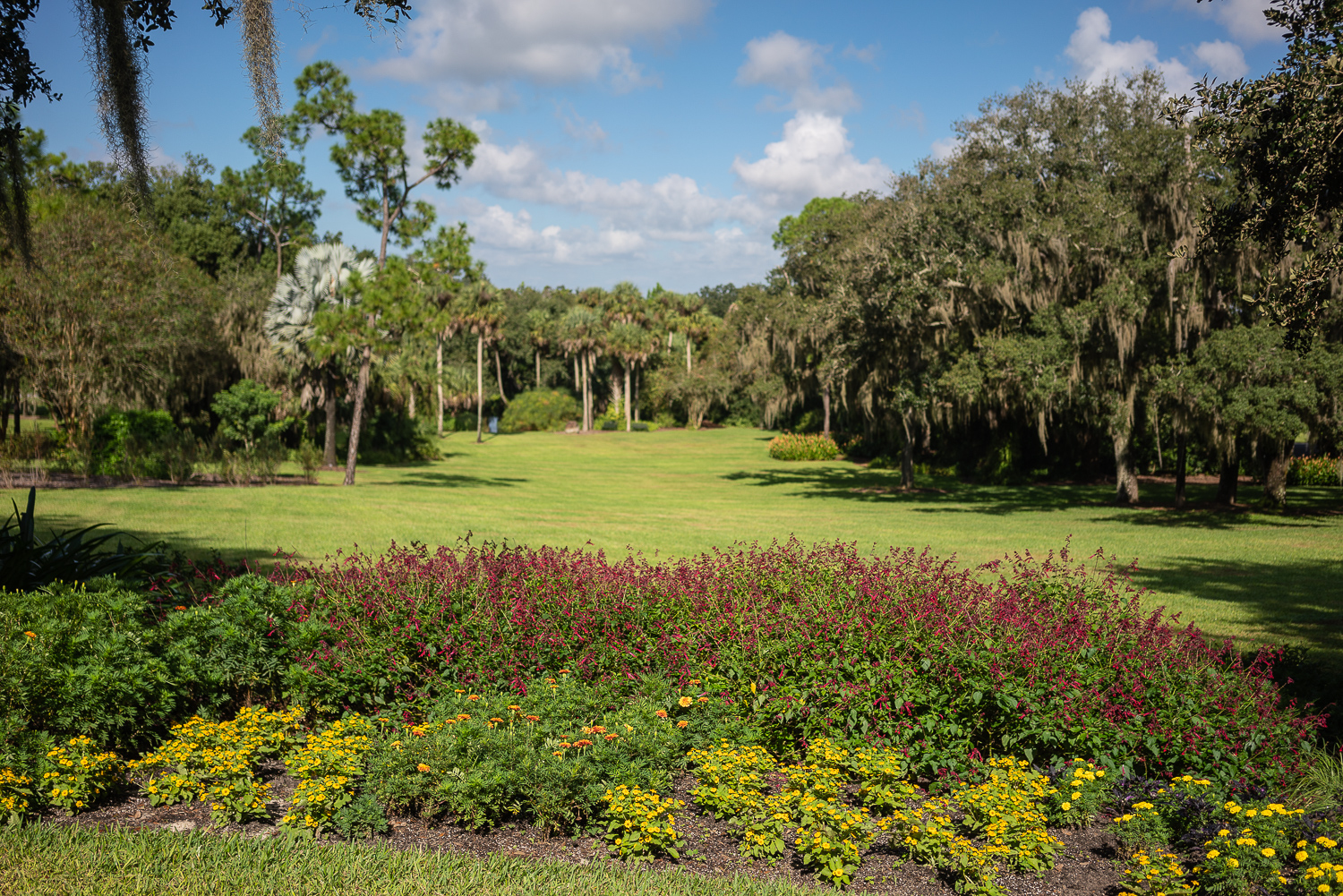 Bok Tower Oct 2020-25.JPG