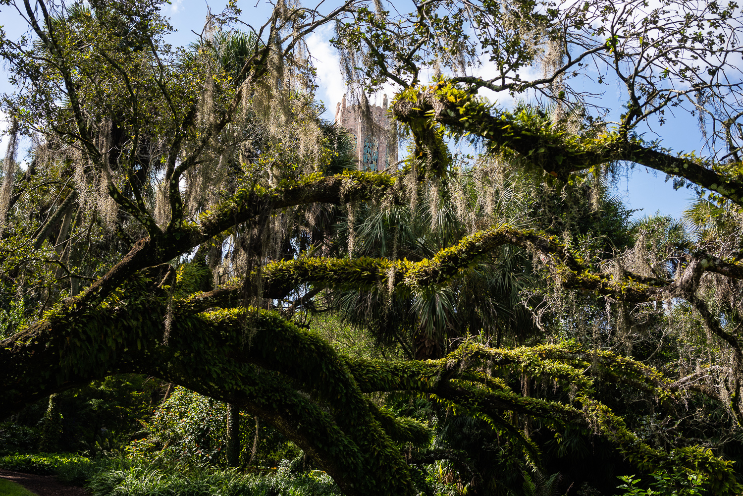 Bok Tower Oct 2020-30.JPG