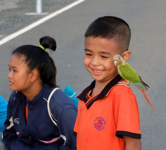 Boy & bird.jpg