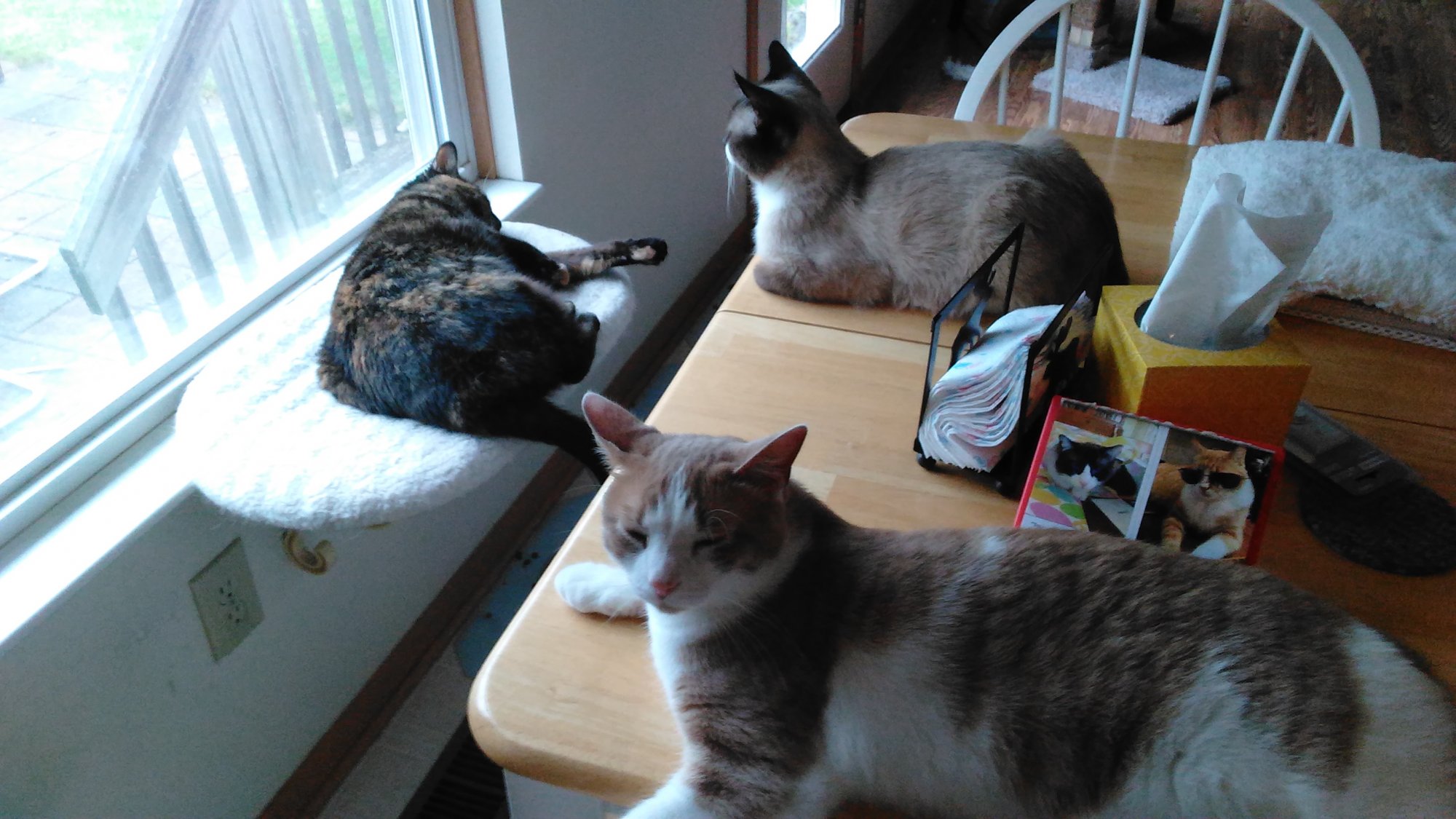 Breakfast table crowd.jpg