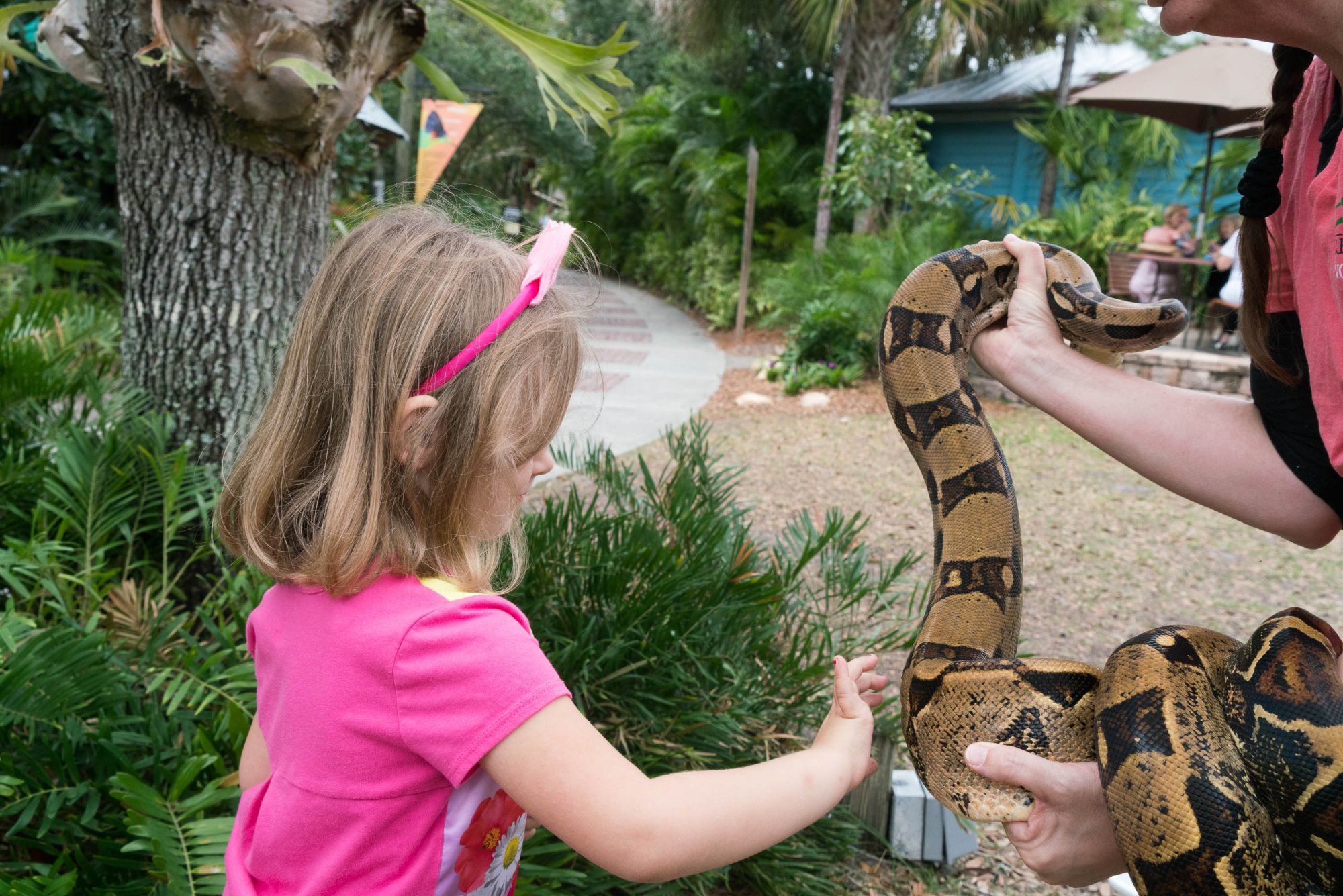 Brevard Zoo - 2000px-1.jpg