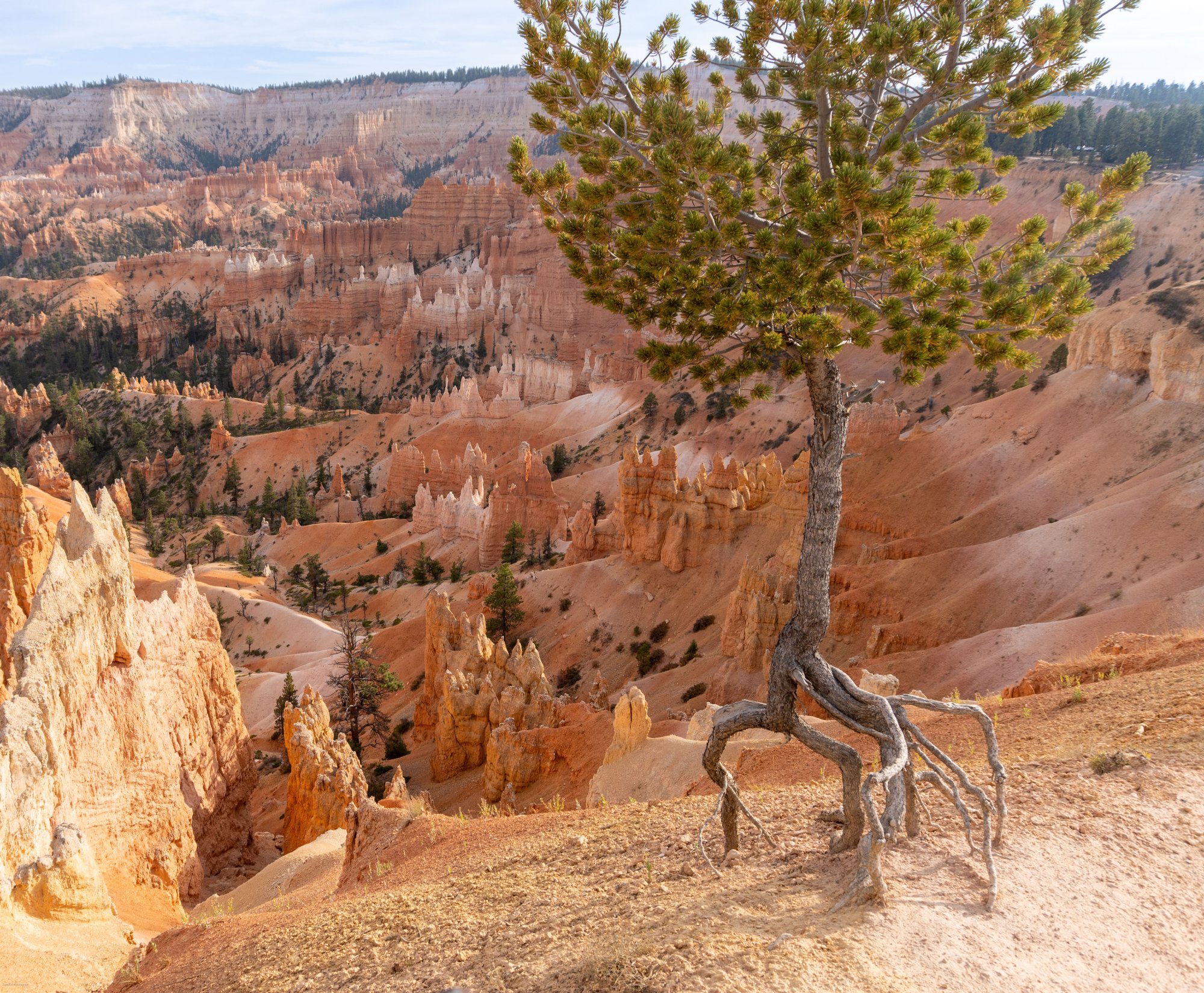 Bryce Canyon.jpg