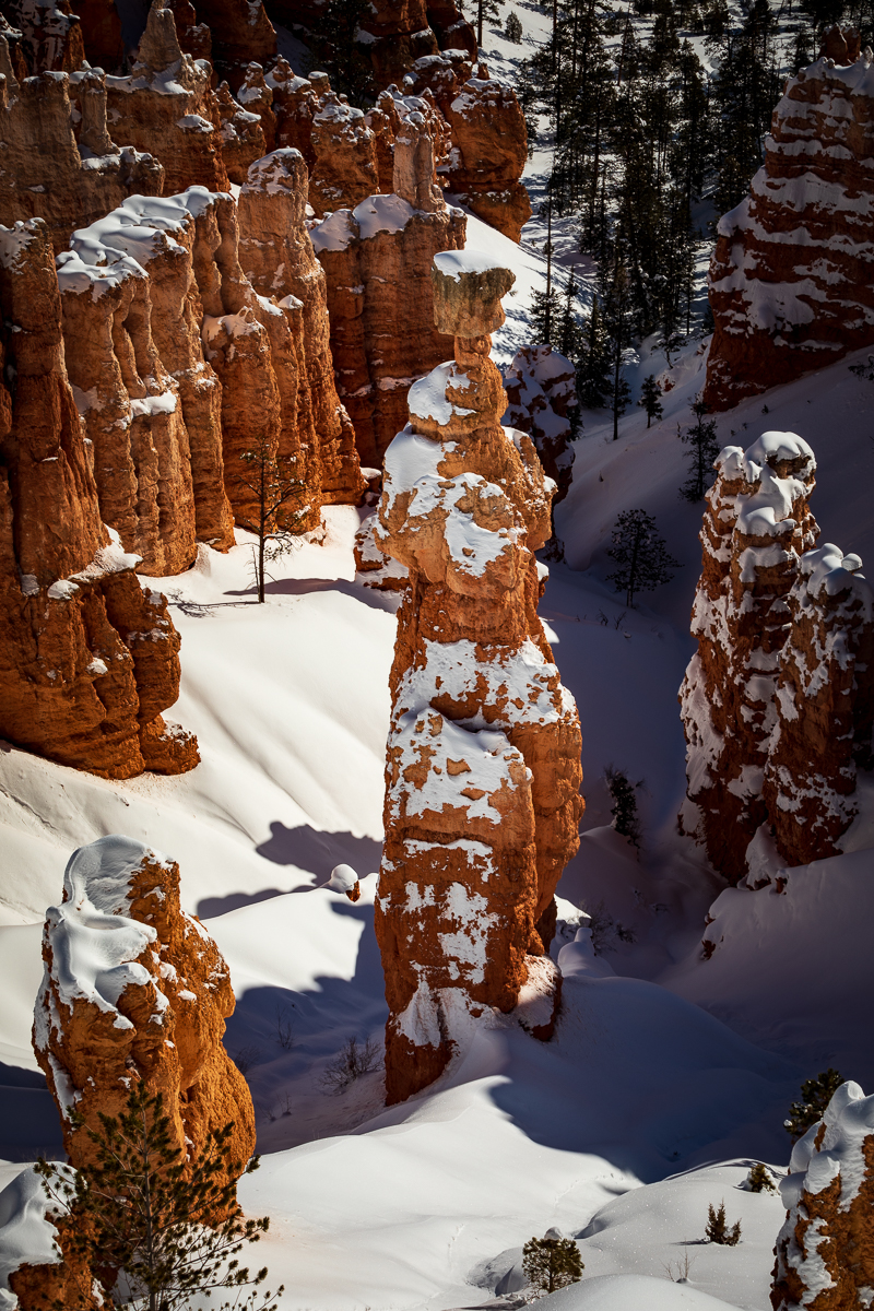 Bryce Canyon_067_2019_02_10_5997.jpg