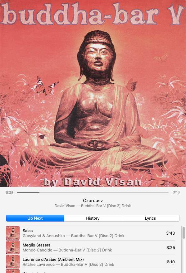 buddha-bar-V.png