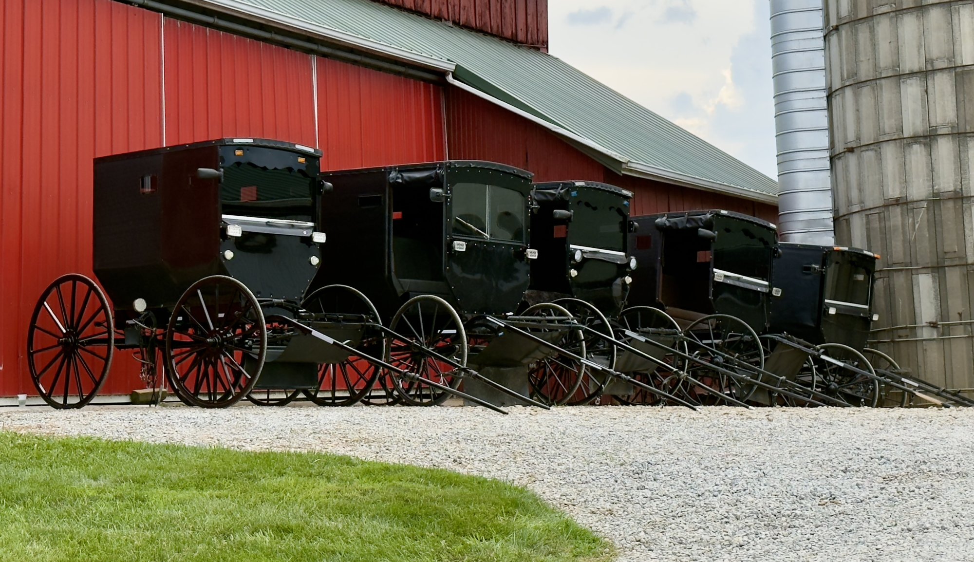 Buggies.jpg